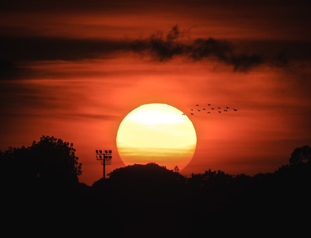the sun is setting with a flock of birds flying in front of it