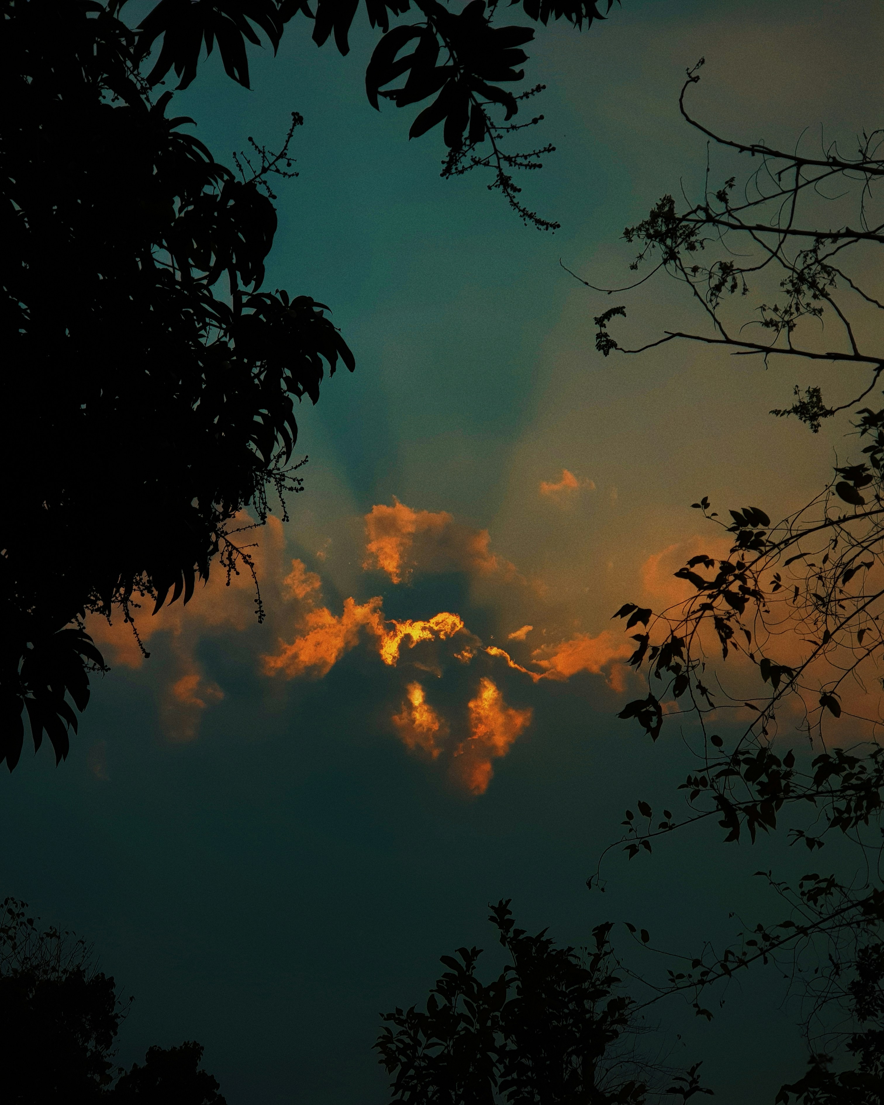 Photo by loydmolina