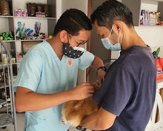 a man in a blue shirt and a man in a blue shirt and a dog