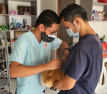 a man in a blue shirt and a man in a blue shirt and a dog