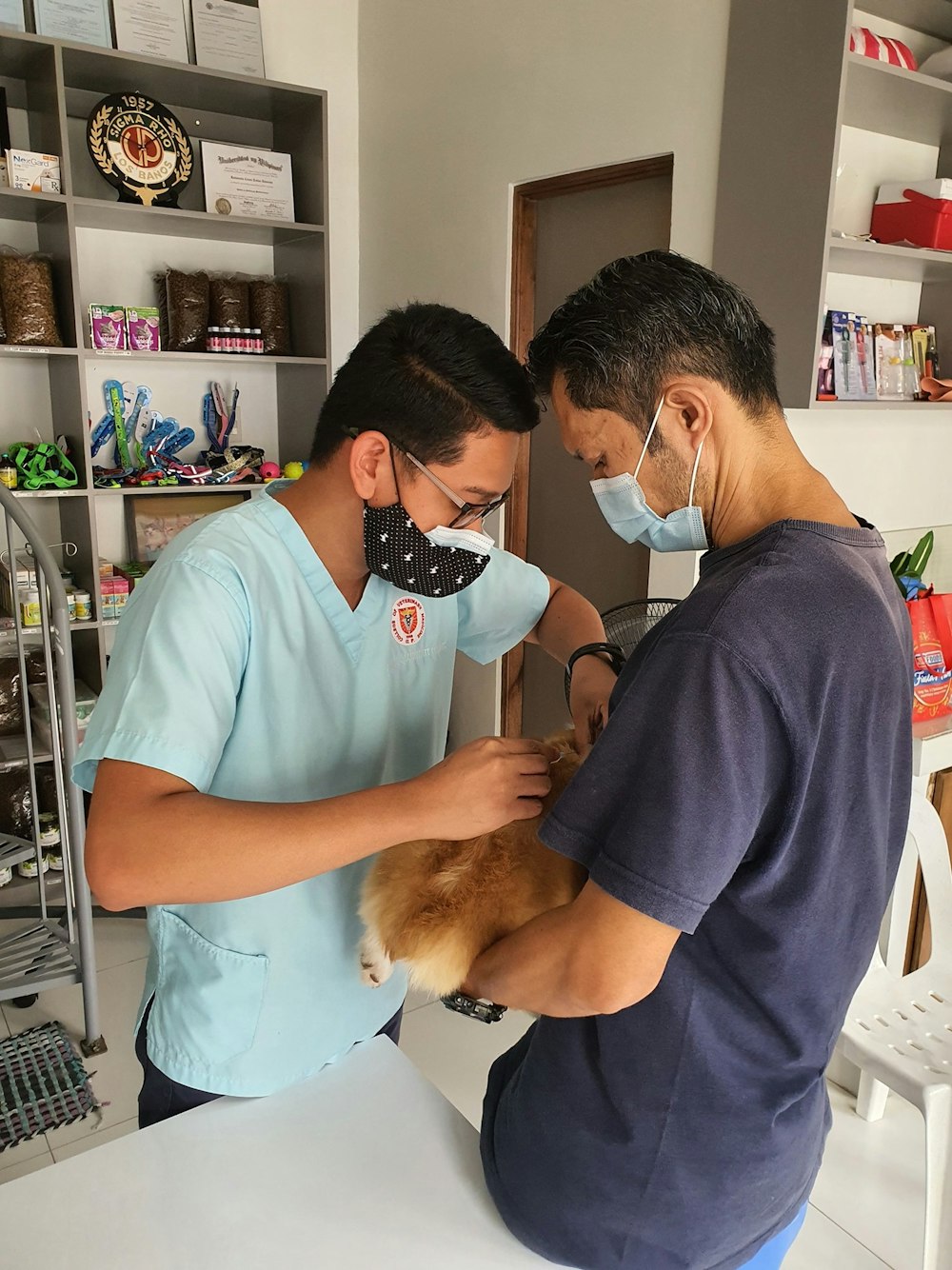 a man in a blue shirt and a man in a blue shirt and a dog