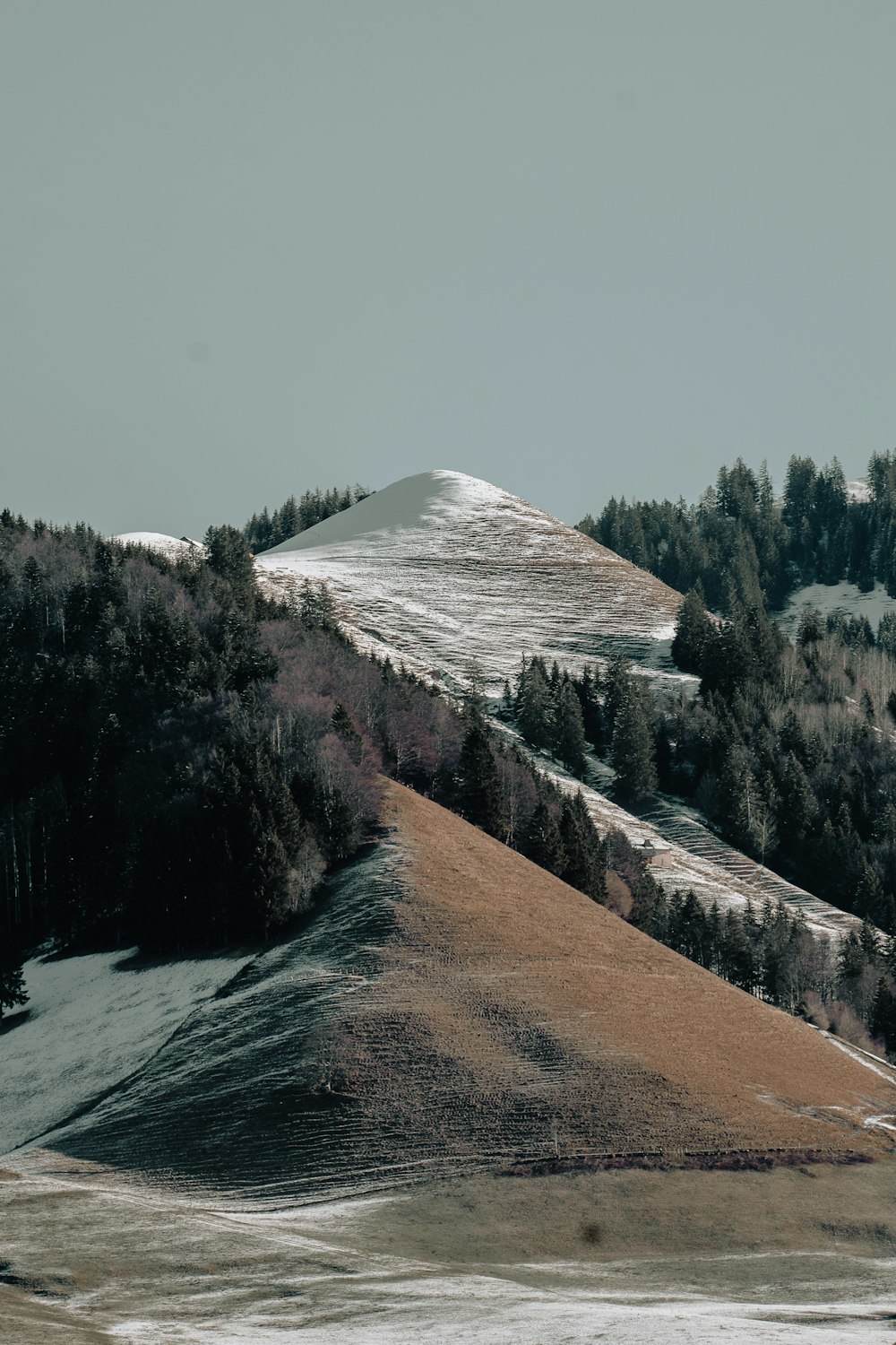 a snow covered hill with trees on top of it