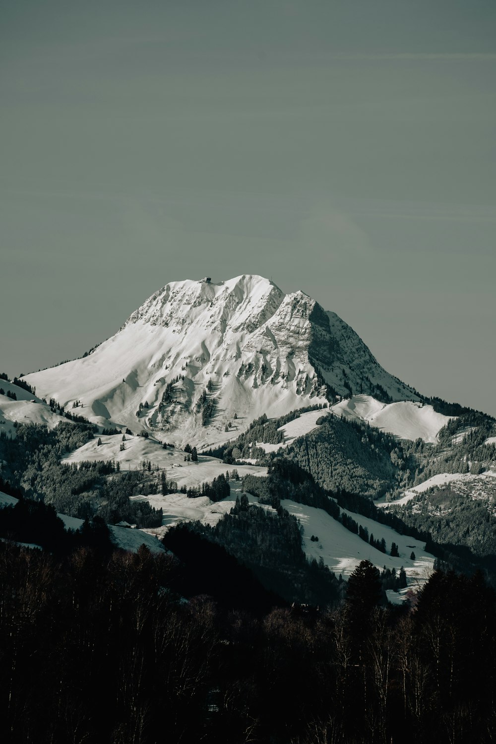 a snow covered mountain with trees in the foreground