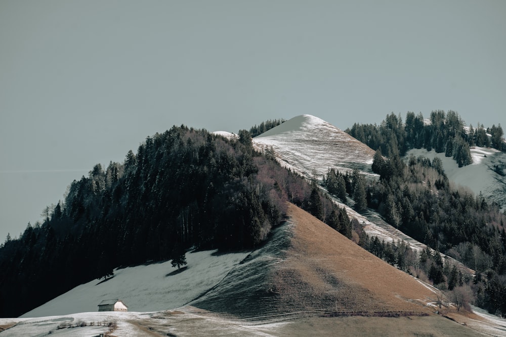 a mountain covered in snow with trees on top of it