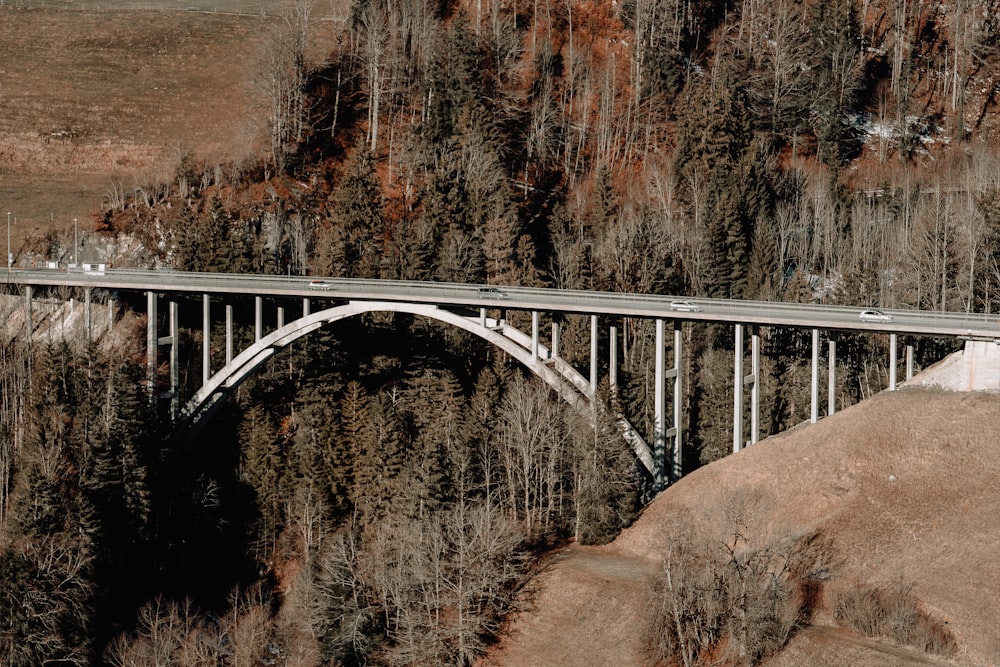 an aerial view of a bridge over a river