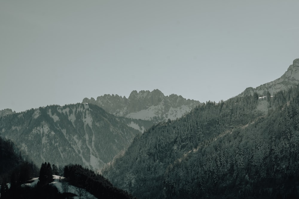 a view of a mountain range with trees in the foreground