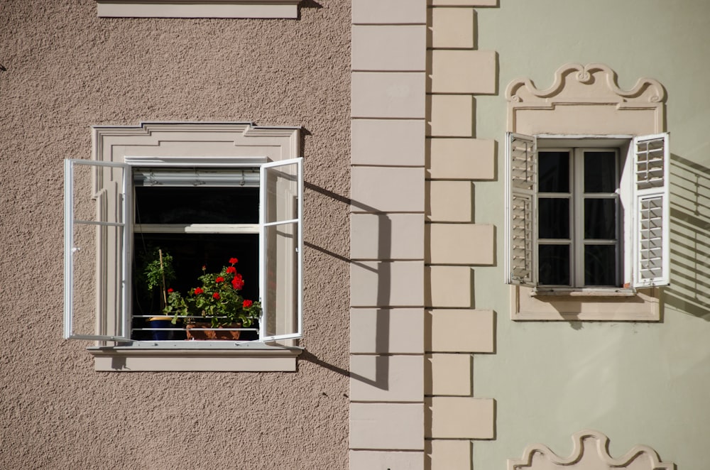 a building with a window and a plant in the window