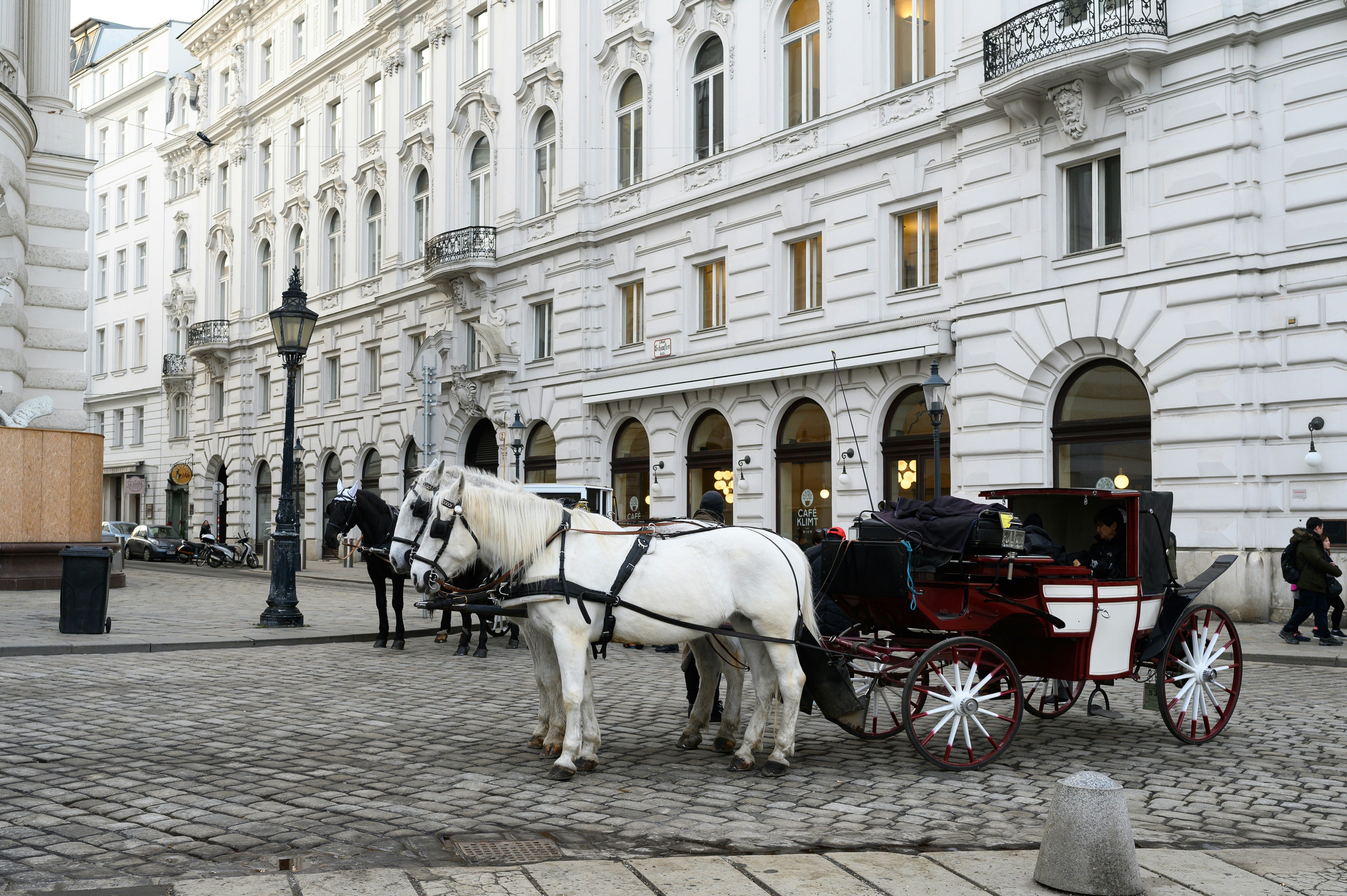 Horse Carriages - Vienna