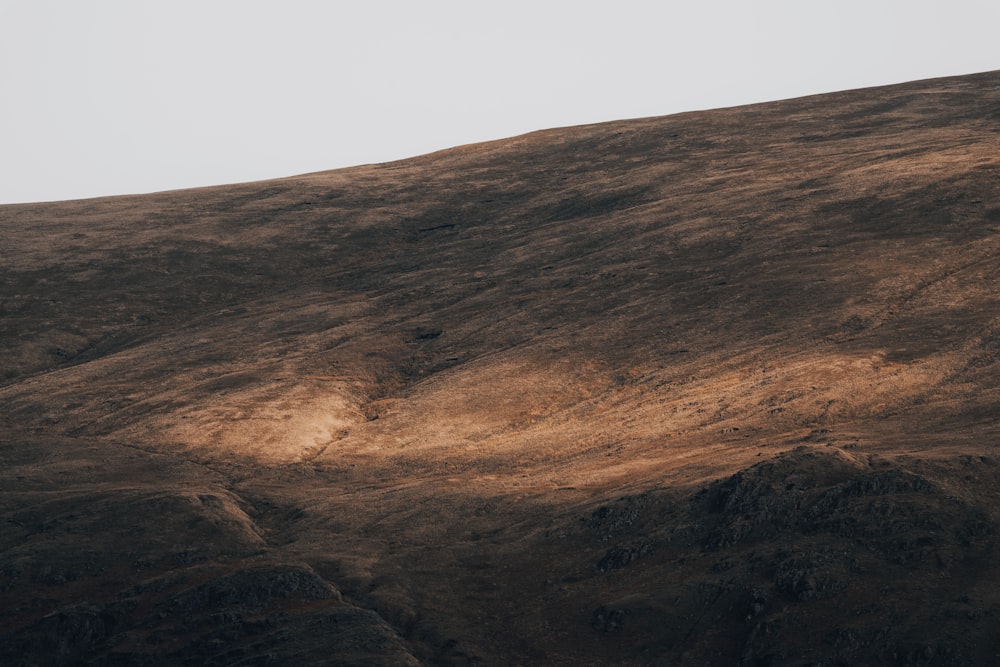 a lone tree on the side of a hill