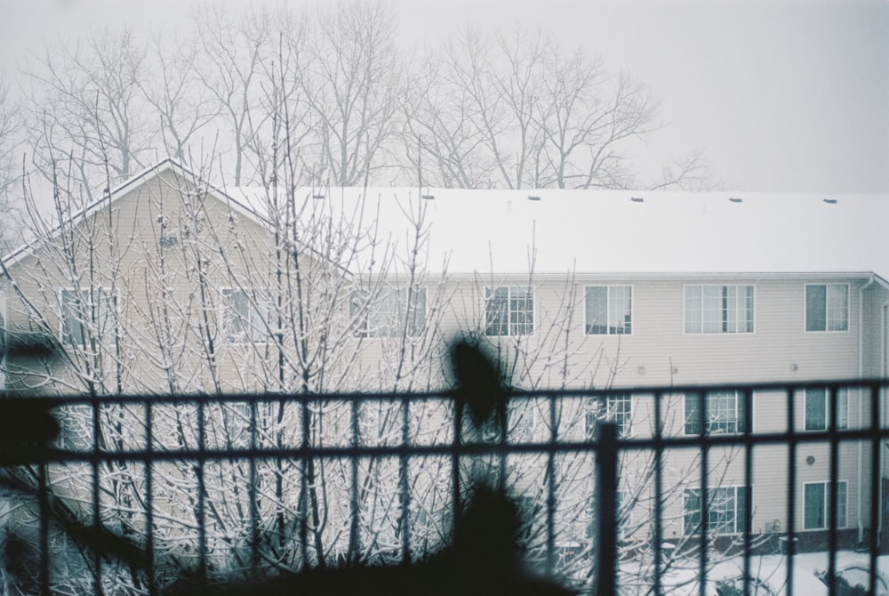 a person standing in front of a fence in the snow