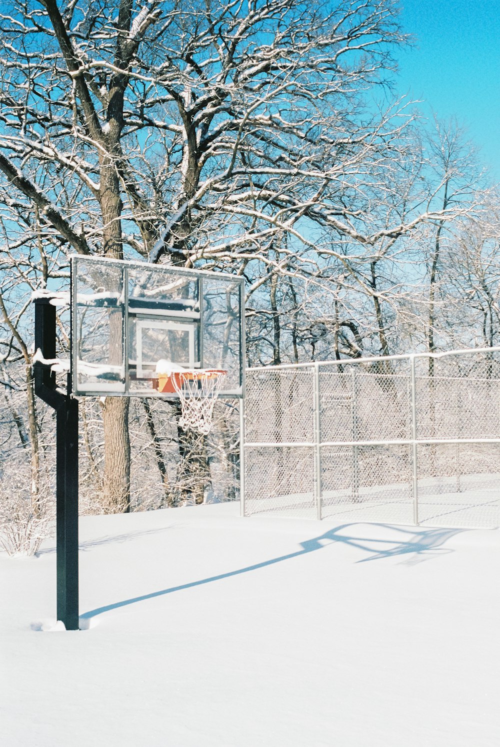 a basketball hoop in the snow near a tree