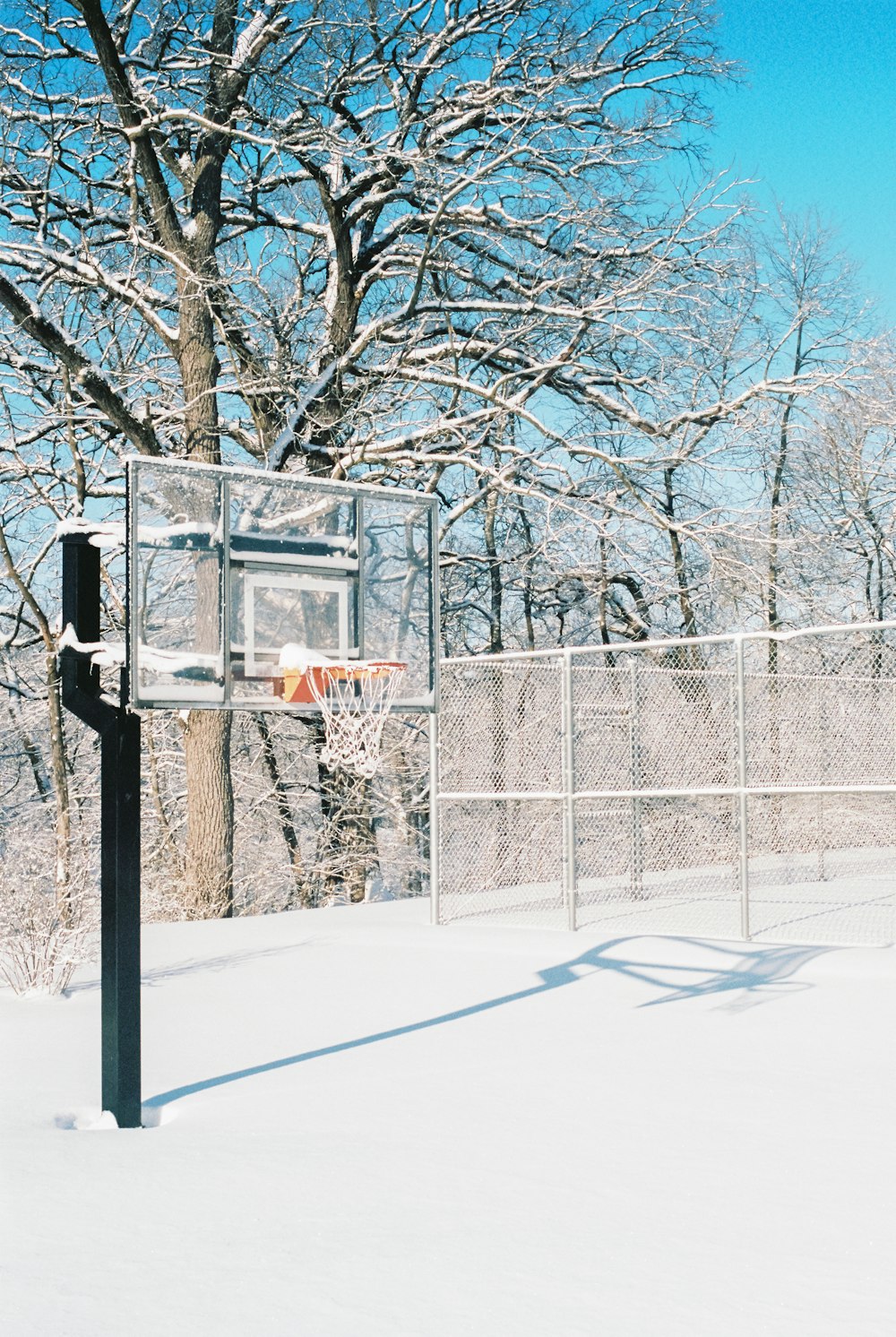 Un panier de basket dans la neige près d’un arbre