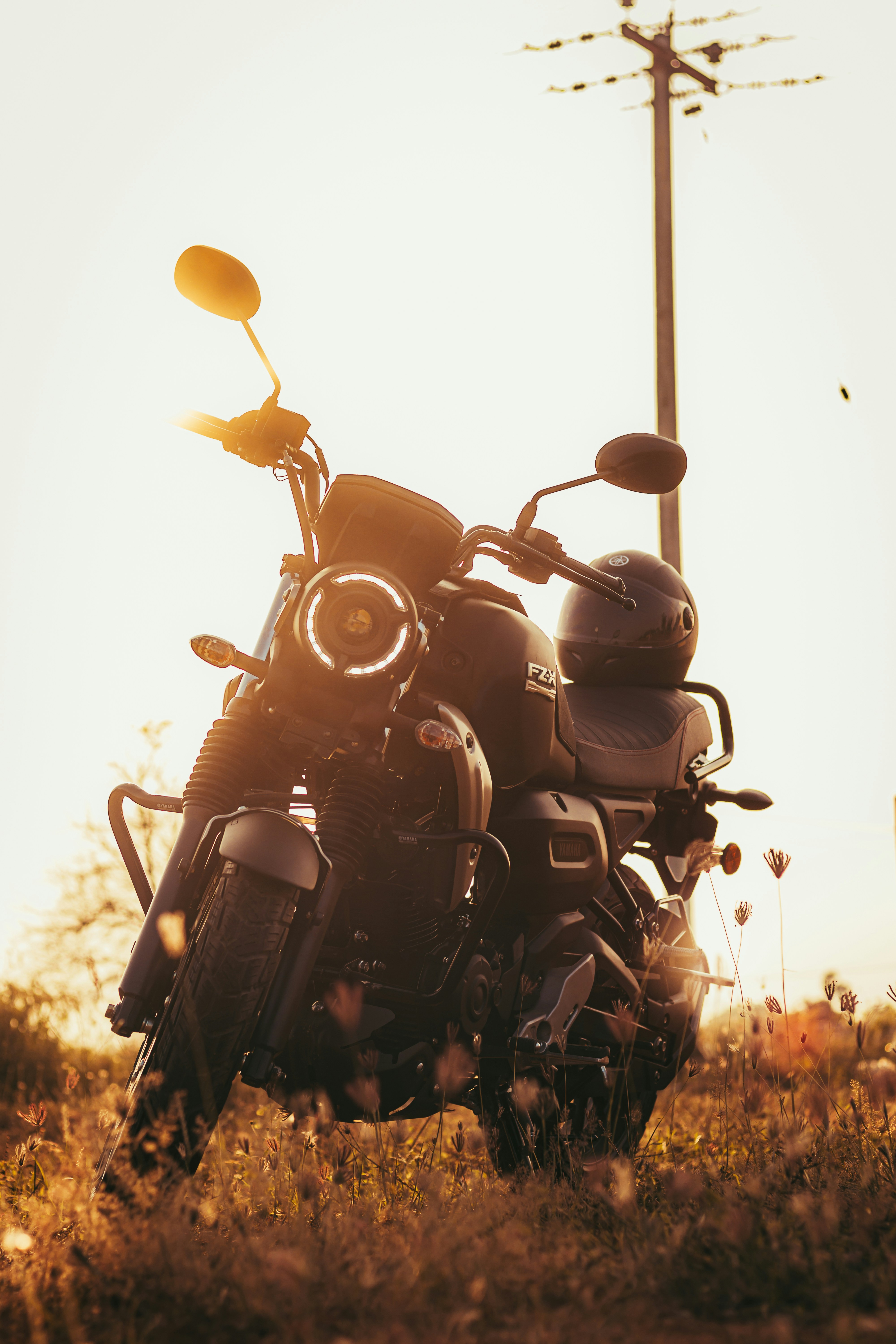 Photo by dhilipantony