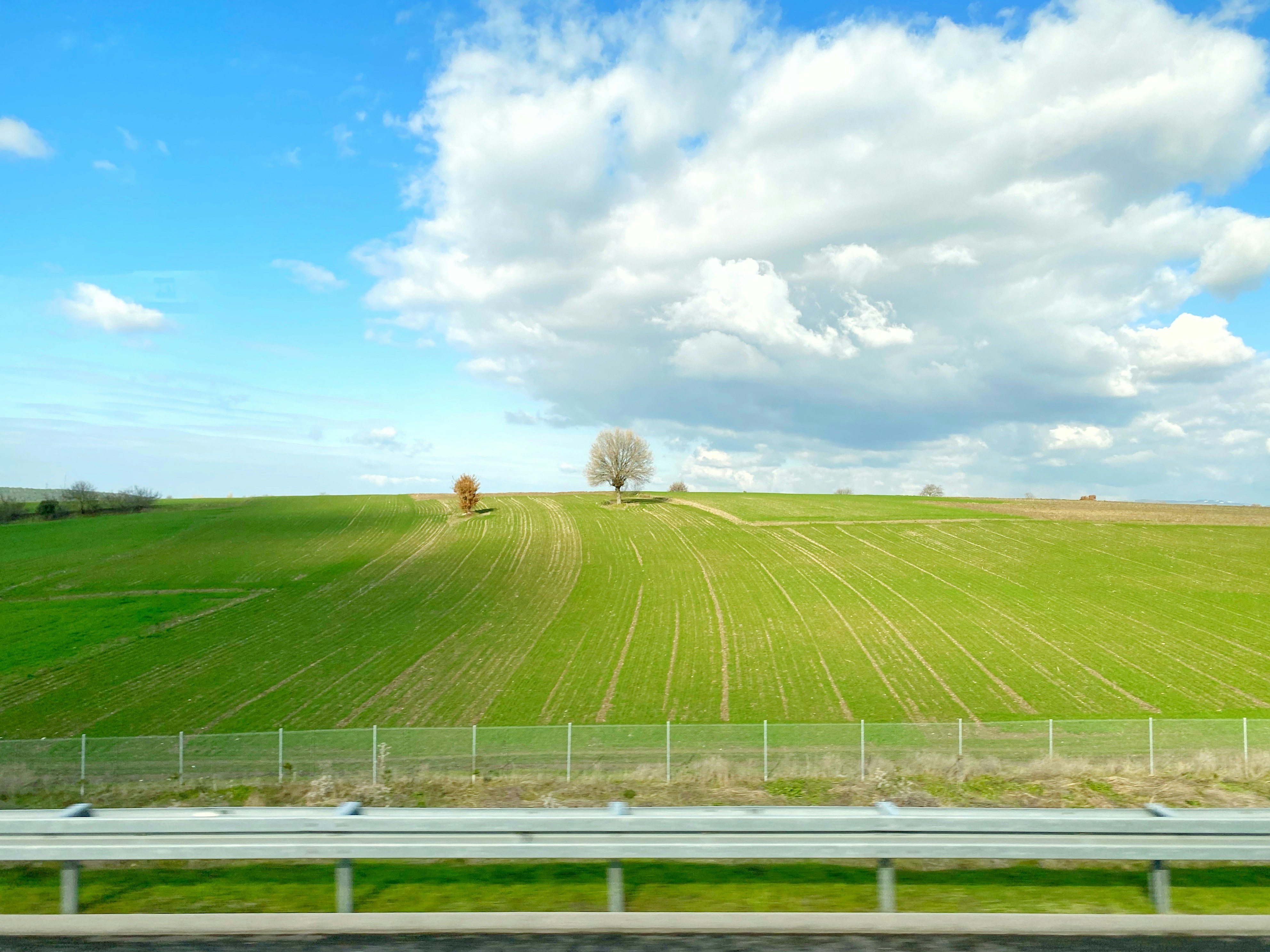 Photo by muhajirframe