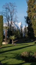 A serene landscape features snow-capped mountains in the background, silhouetted by tall trees, including pine and palm trees. In the foreground, a well-maintained grass lawn with scattered shrubs and a stone structure creates a tranquil garden setting.