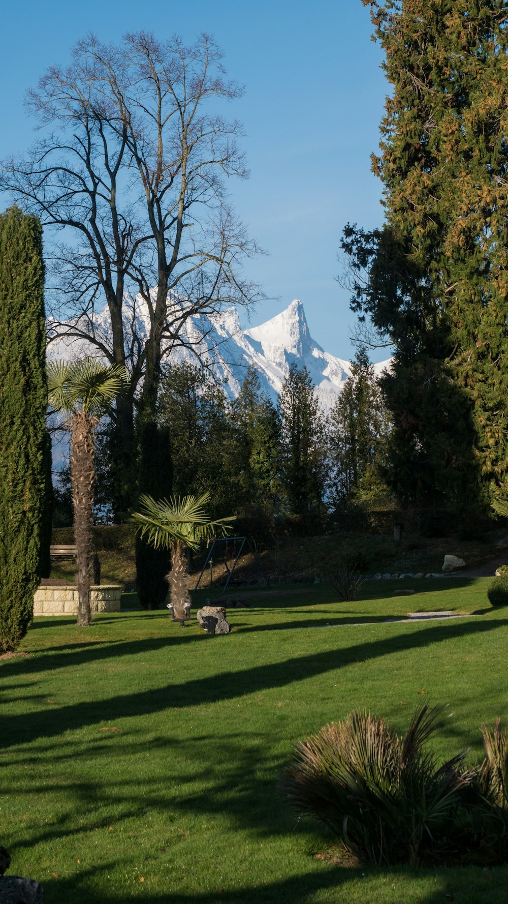 a view of a snow covered mountain in the distance