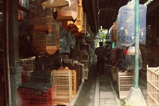 a chair sitting in front of a store