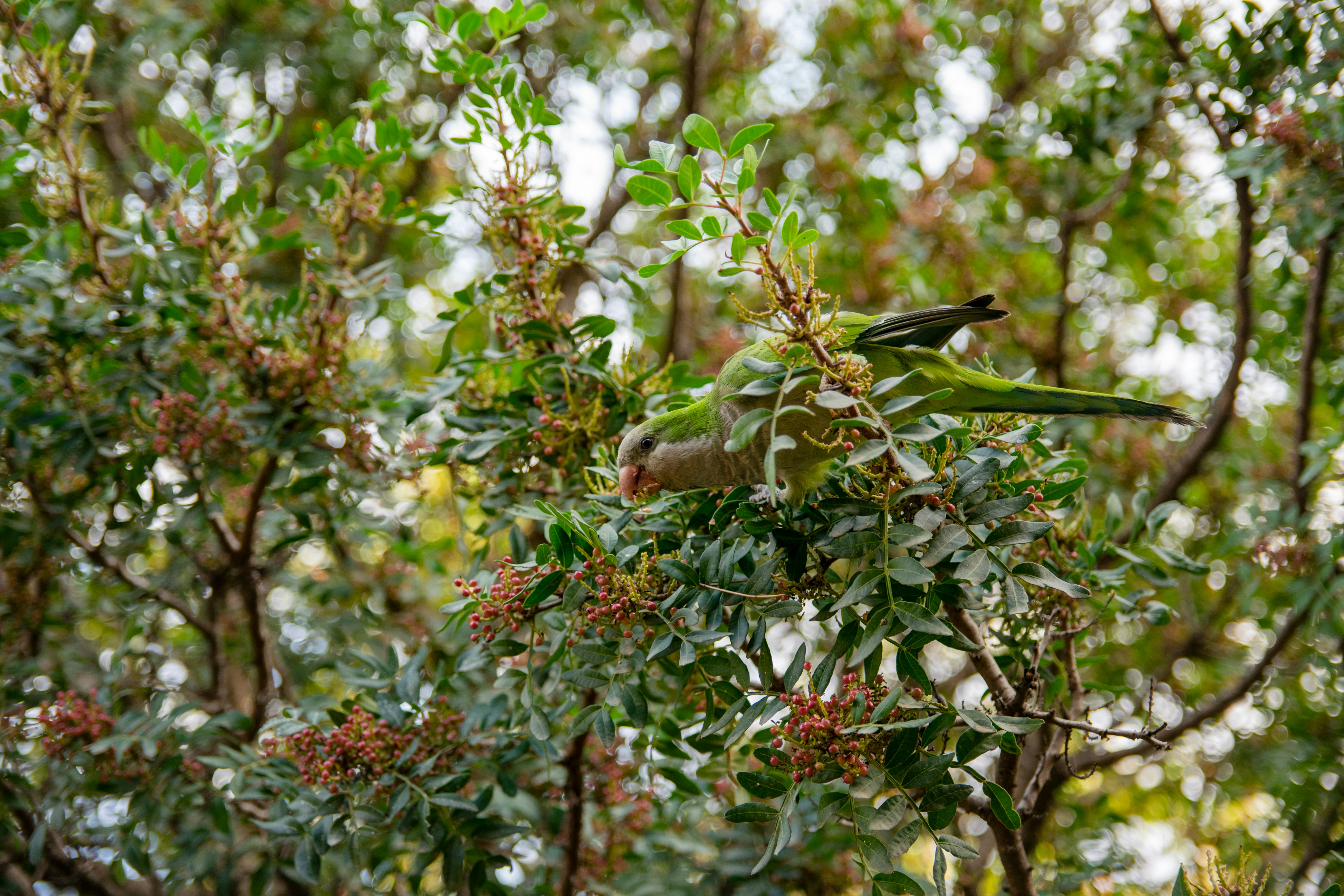 Photo by anastasiya_dal