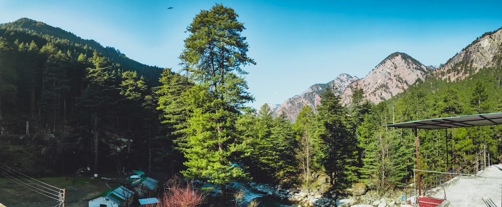 a group of tents in a forest with mountains in the background