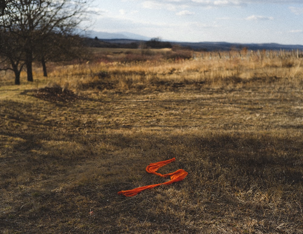 a red kite laying on the ground in a field