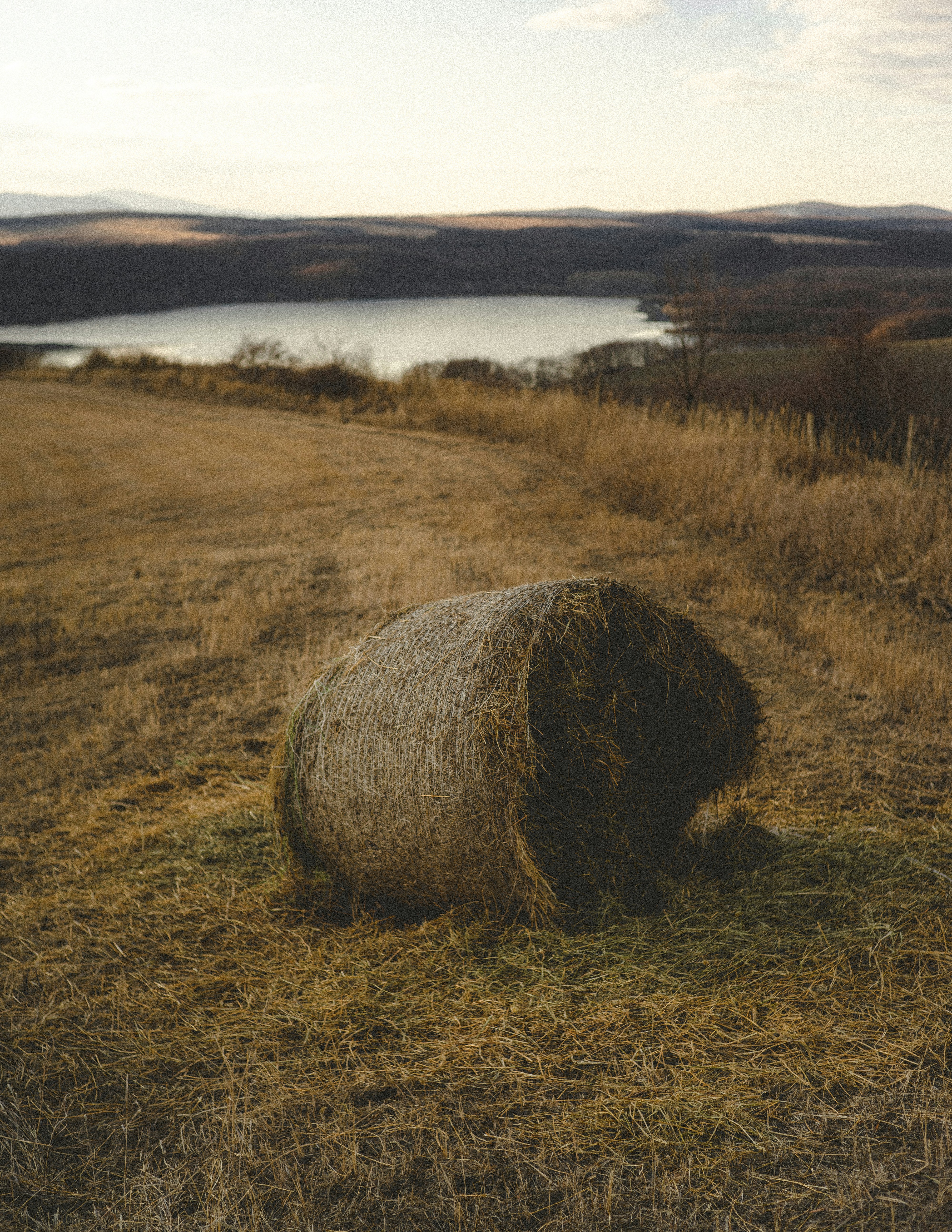 A bale of hay sitting on top of a dry grass field photo – Free Animal ...