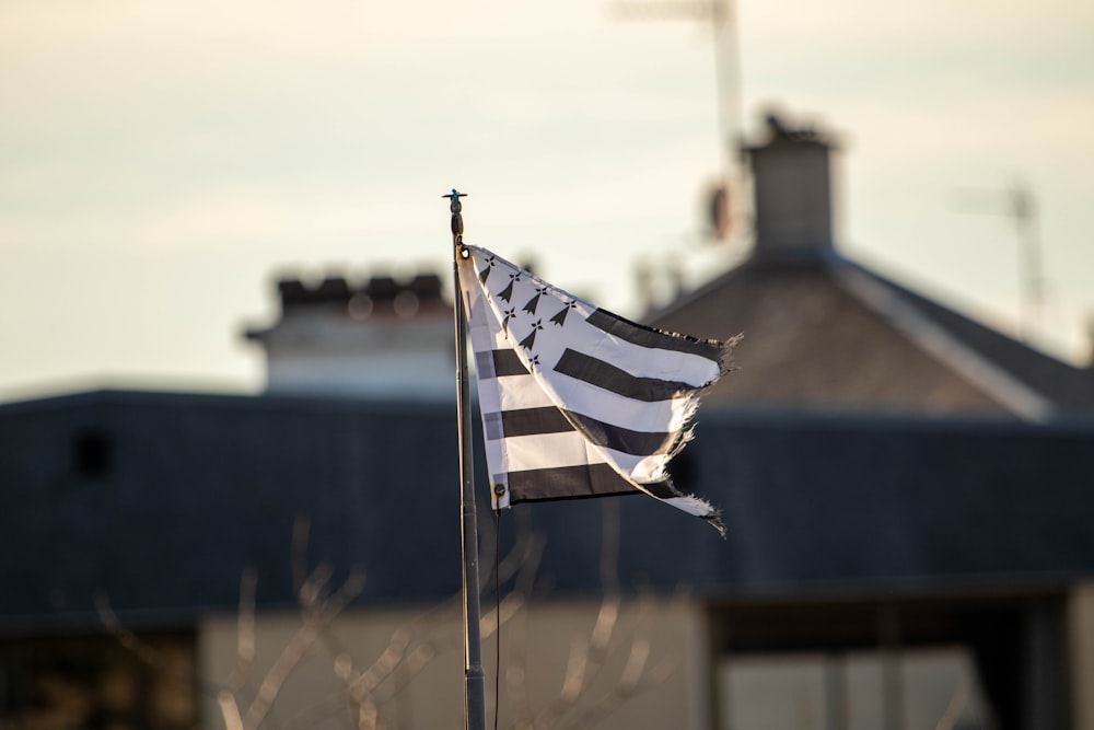 a black and white flag flying in front of a building