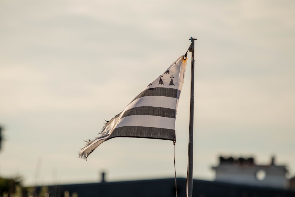 a black and white flag flying in the wind