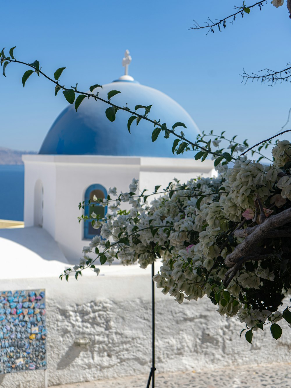 a white and blue building with a blue dome