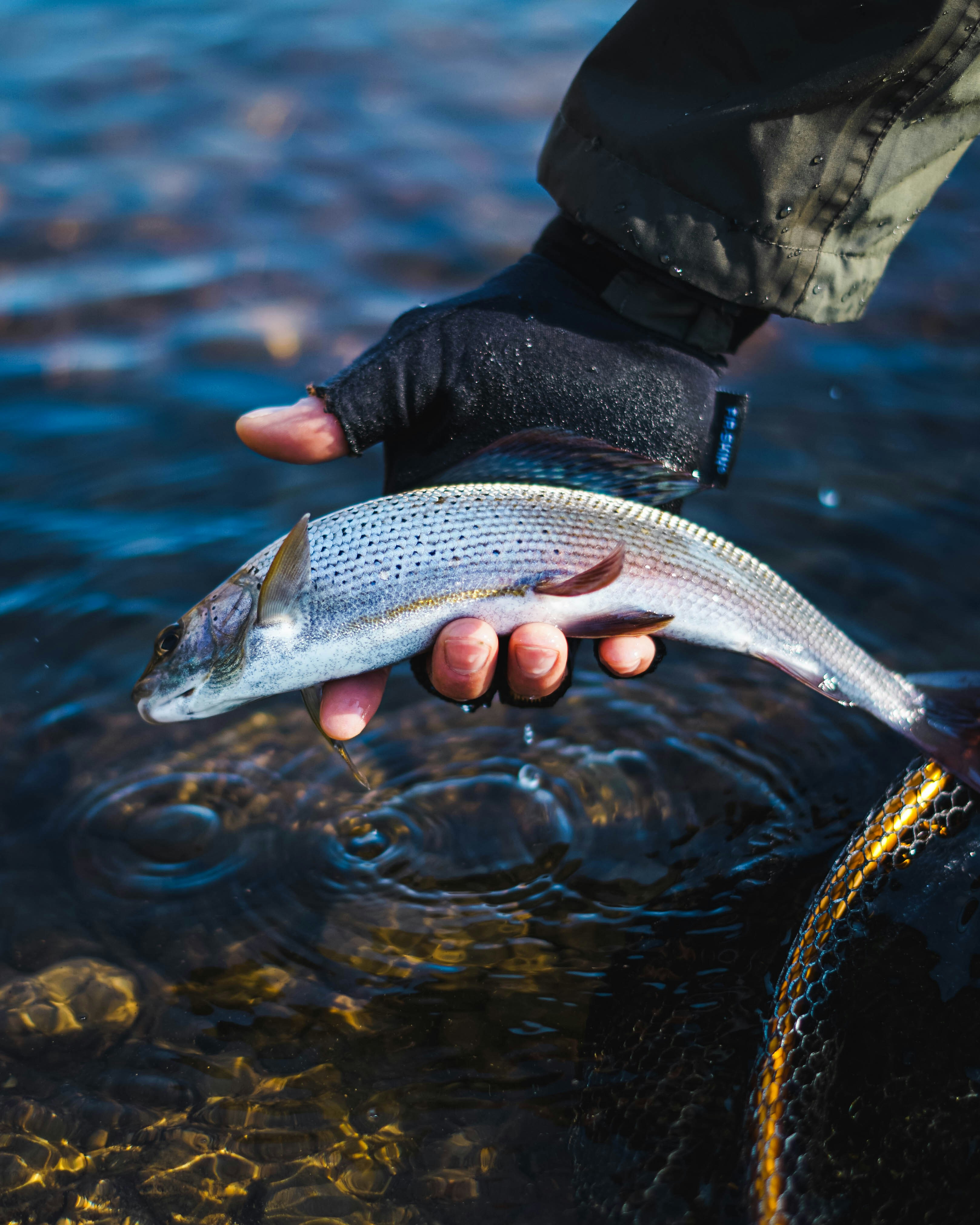 Photo by trenchophotography