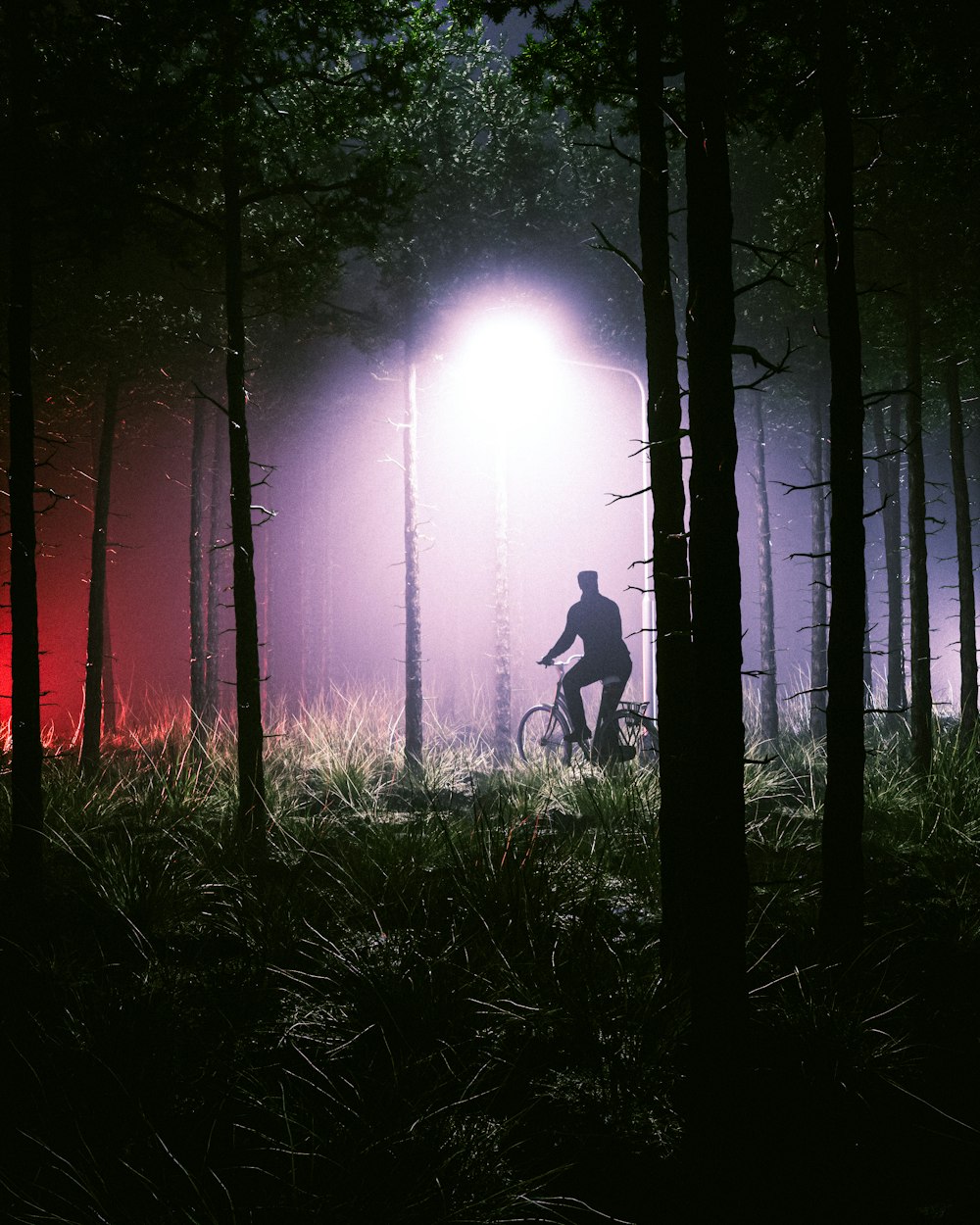 a man riding a bike through a forest at night