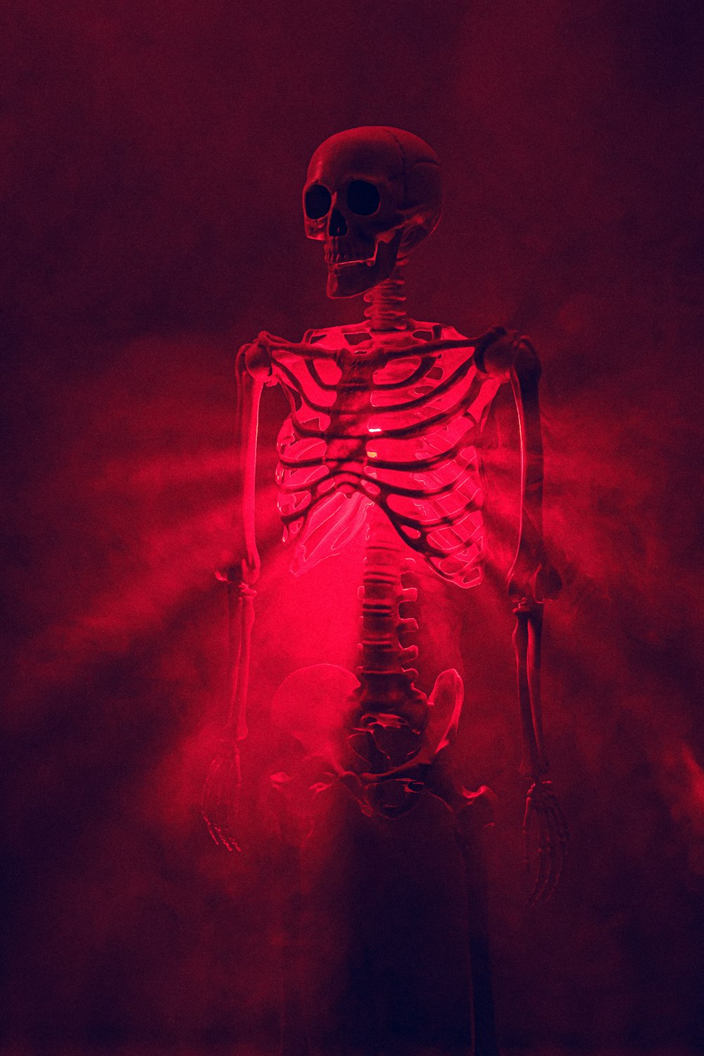 a skeleton with a red light shining on it