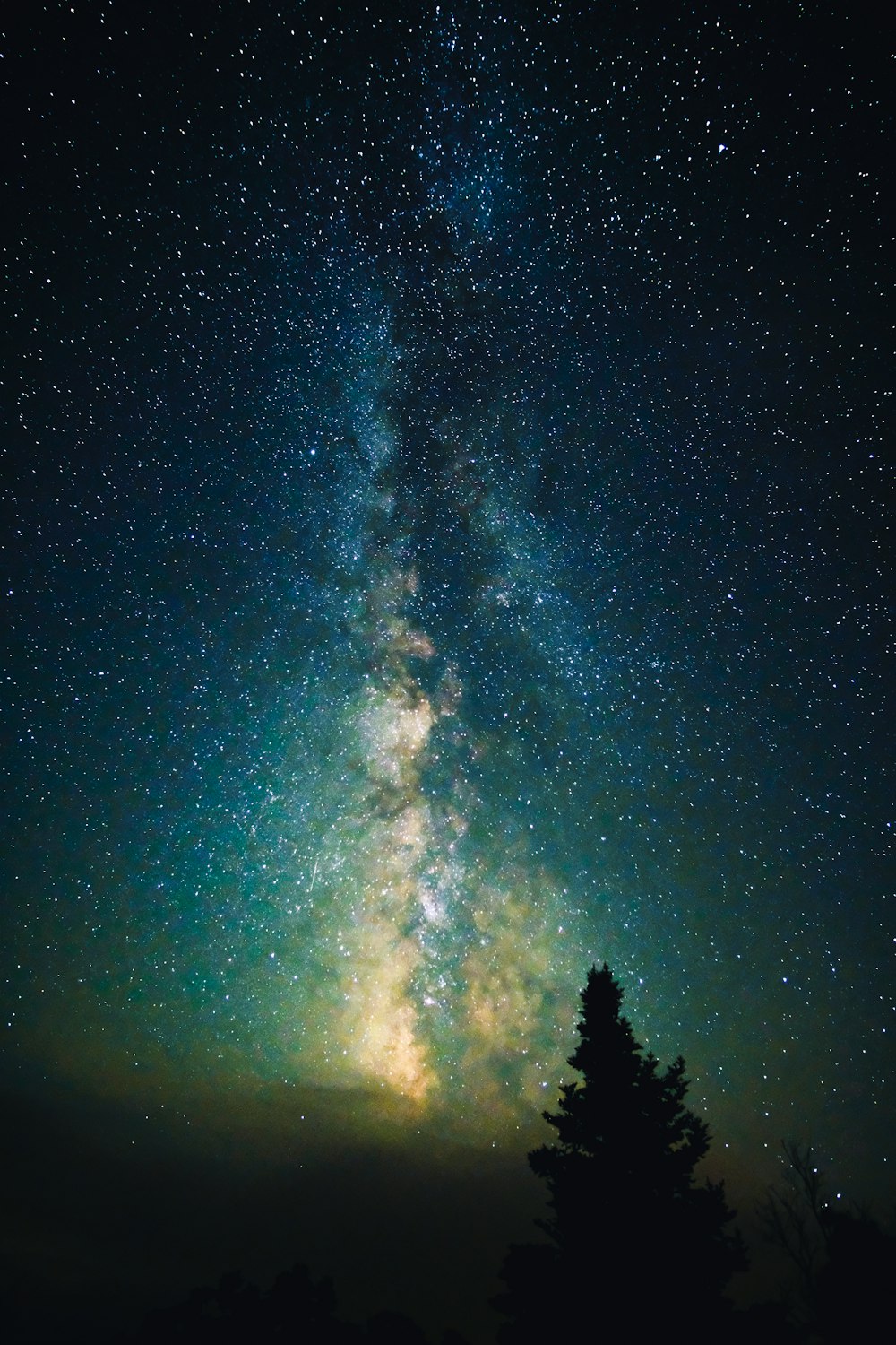 Ein Nachthimmel voller Sterne