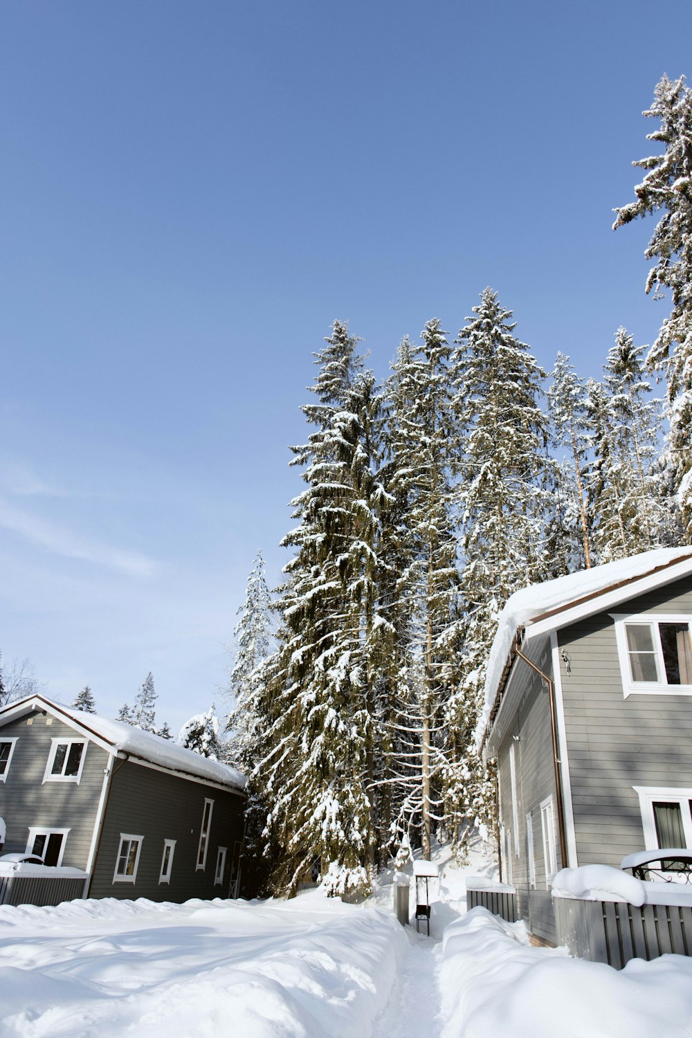 a snow covered street with houses and trees in the background