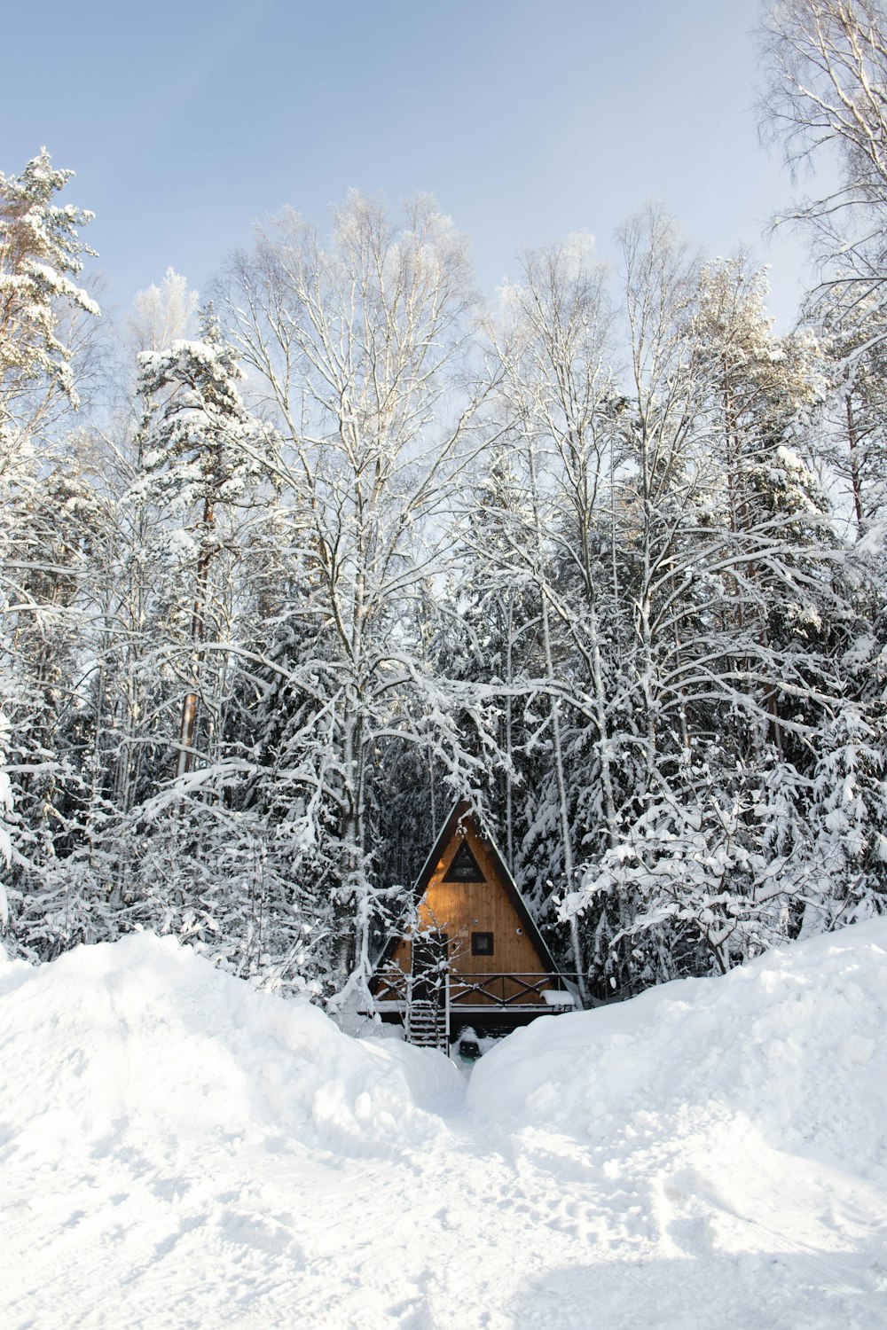 a cabin in the middle of a snowy forest