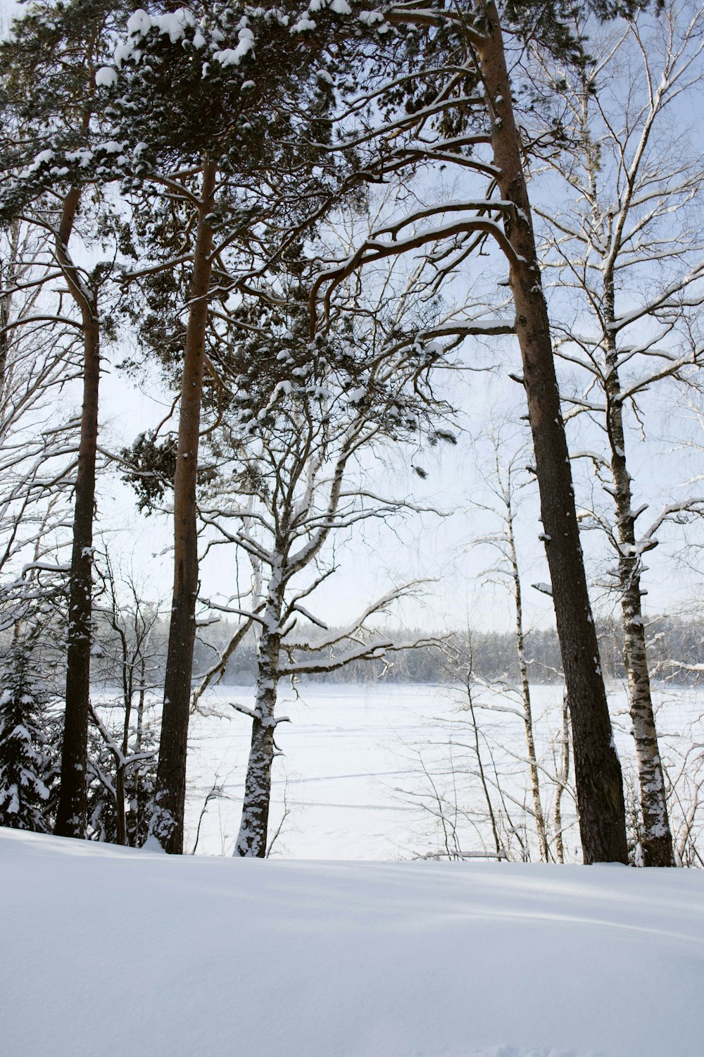 a person riding a snowboard down a snow covered slope