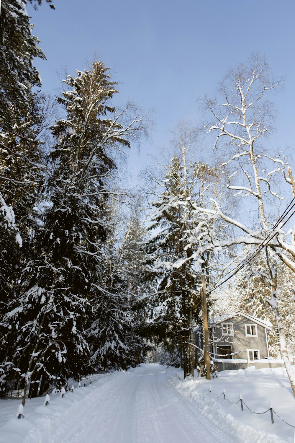 a snow covered road with trees and a house in the background