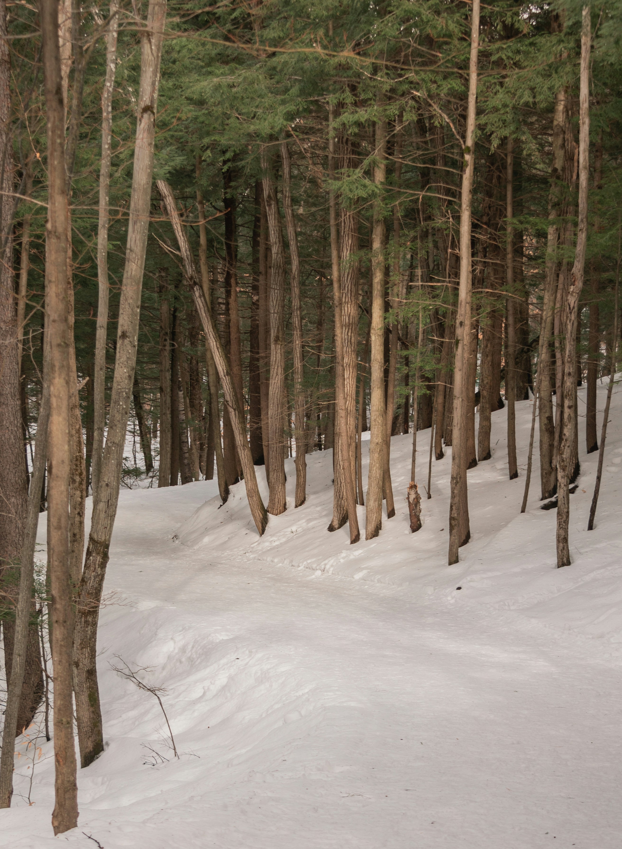 Photo by add_rien_20