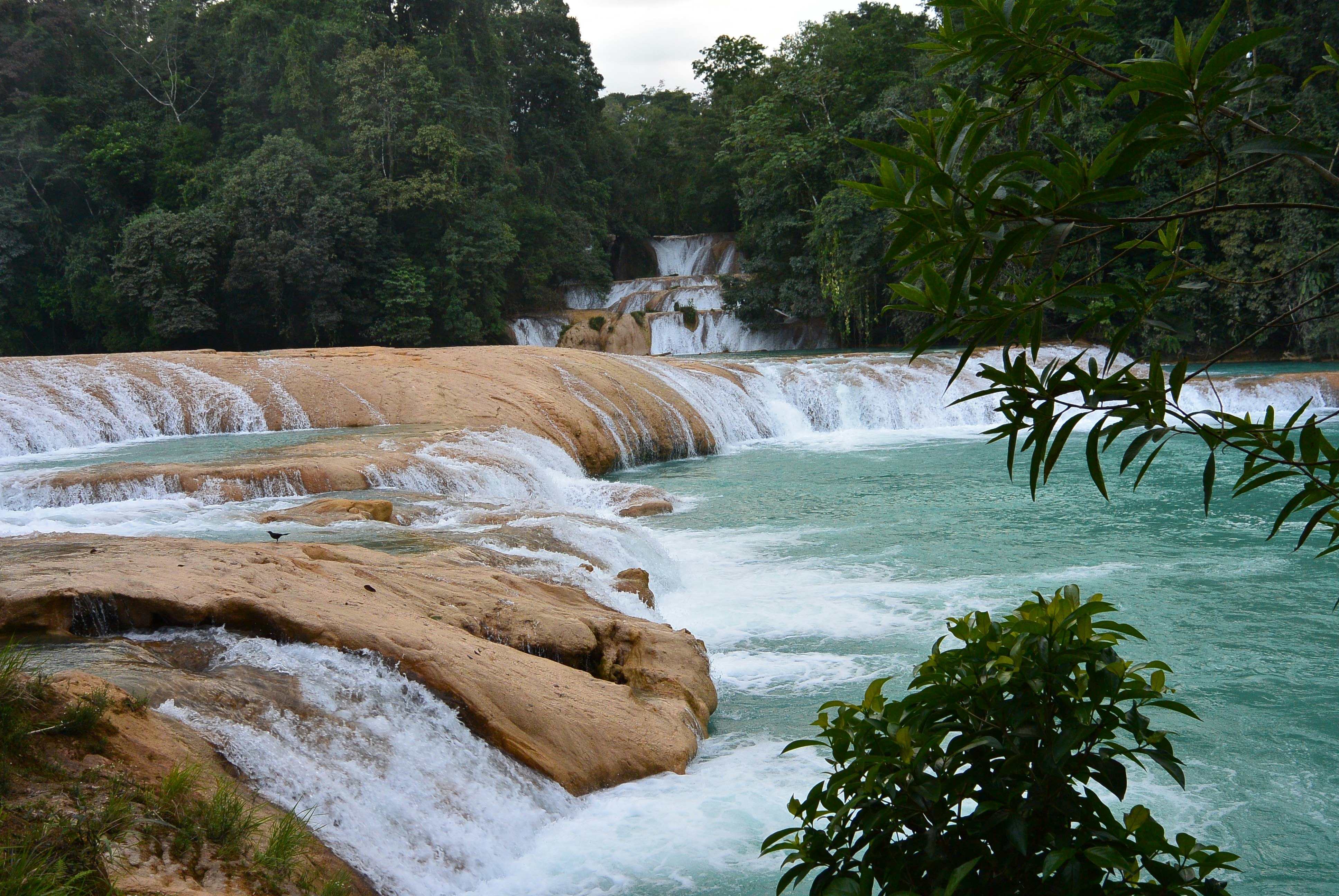 Photo by bertrand1212