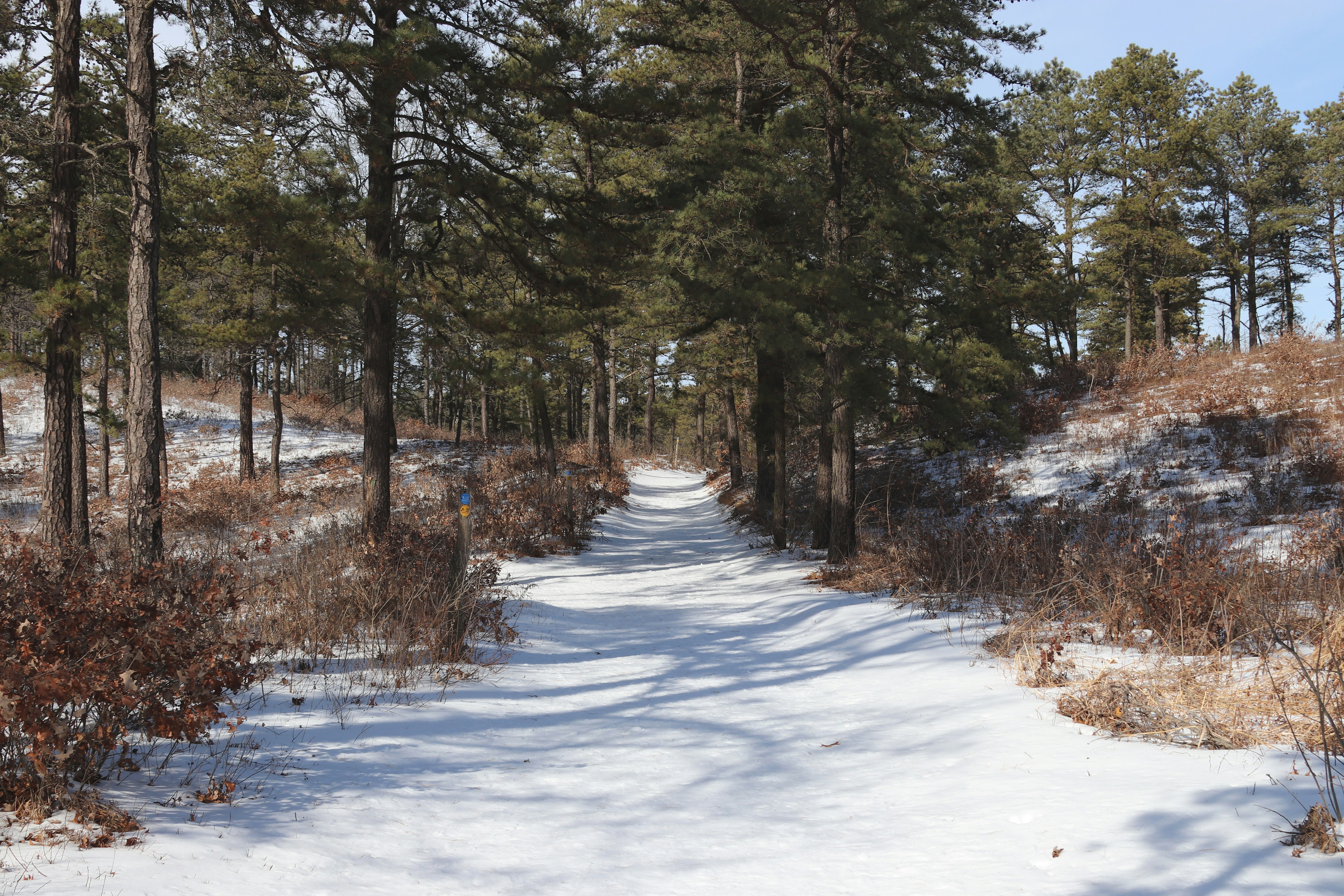 Photo by chrislabarge