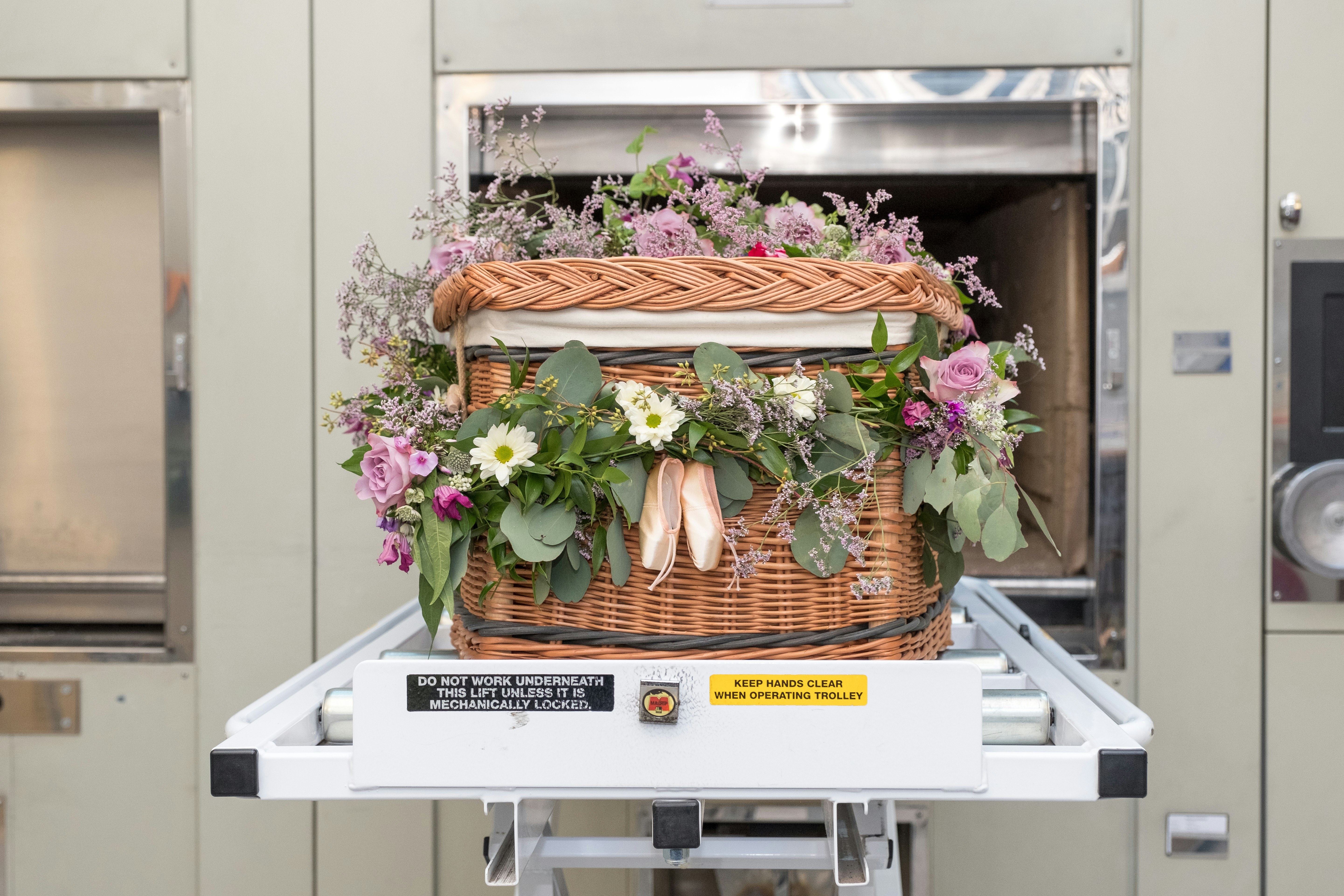 A Guide To Dog Cremation: Processes And Considerations