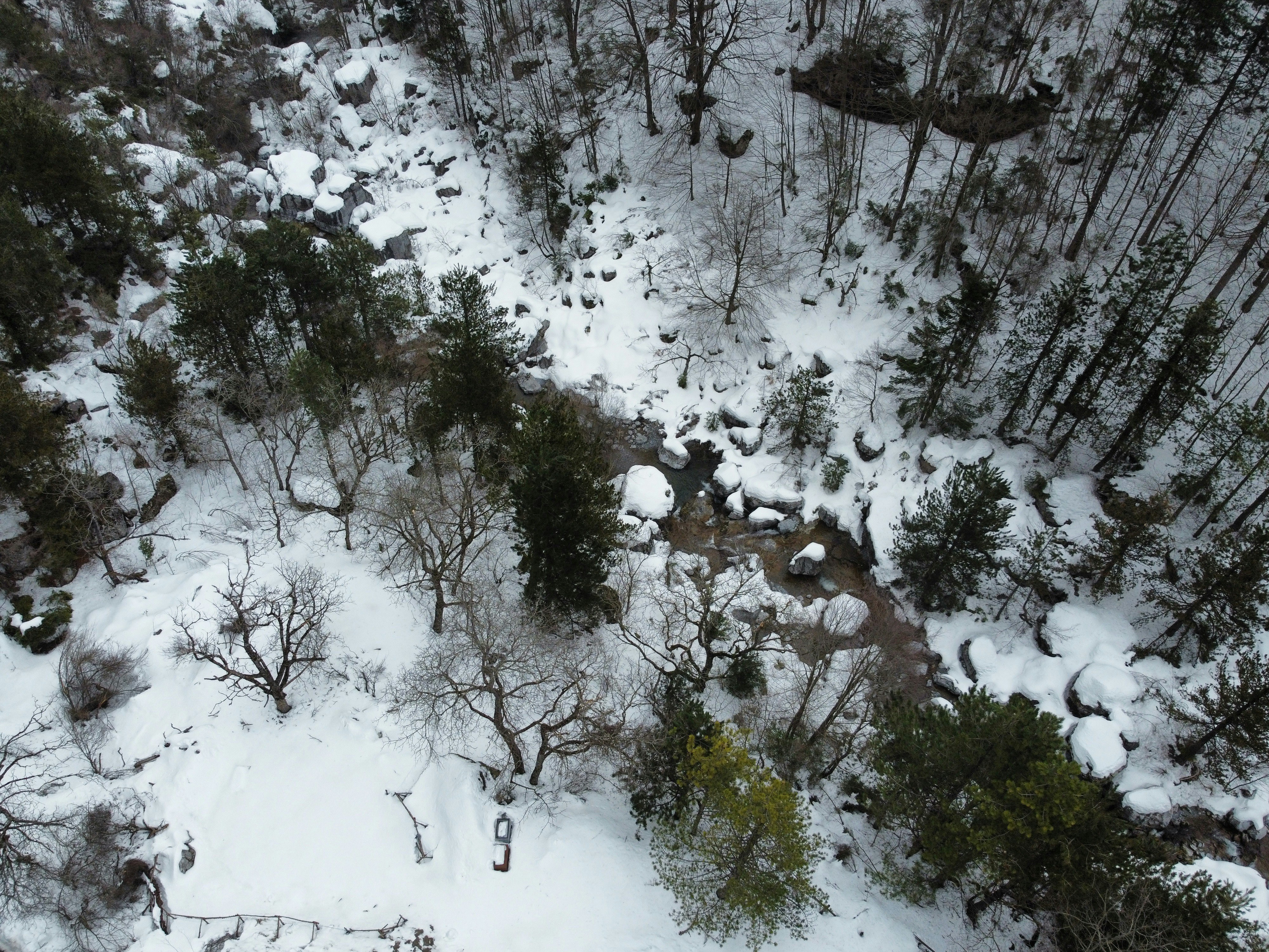 an aerial view of a snow covered forest