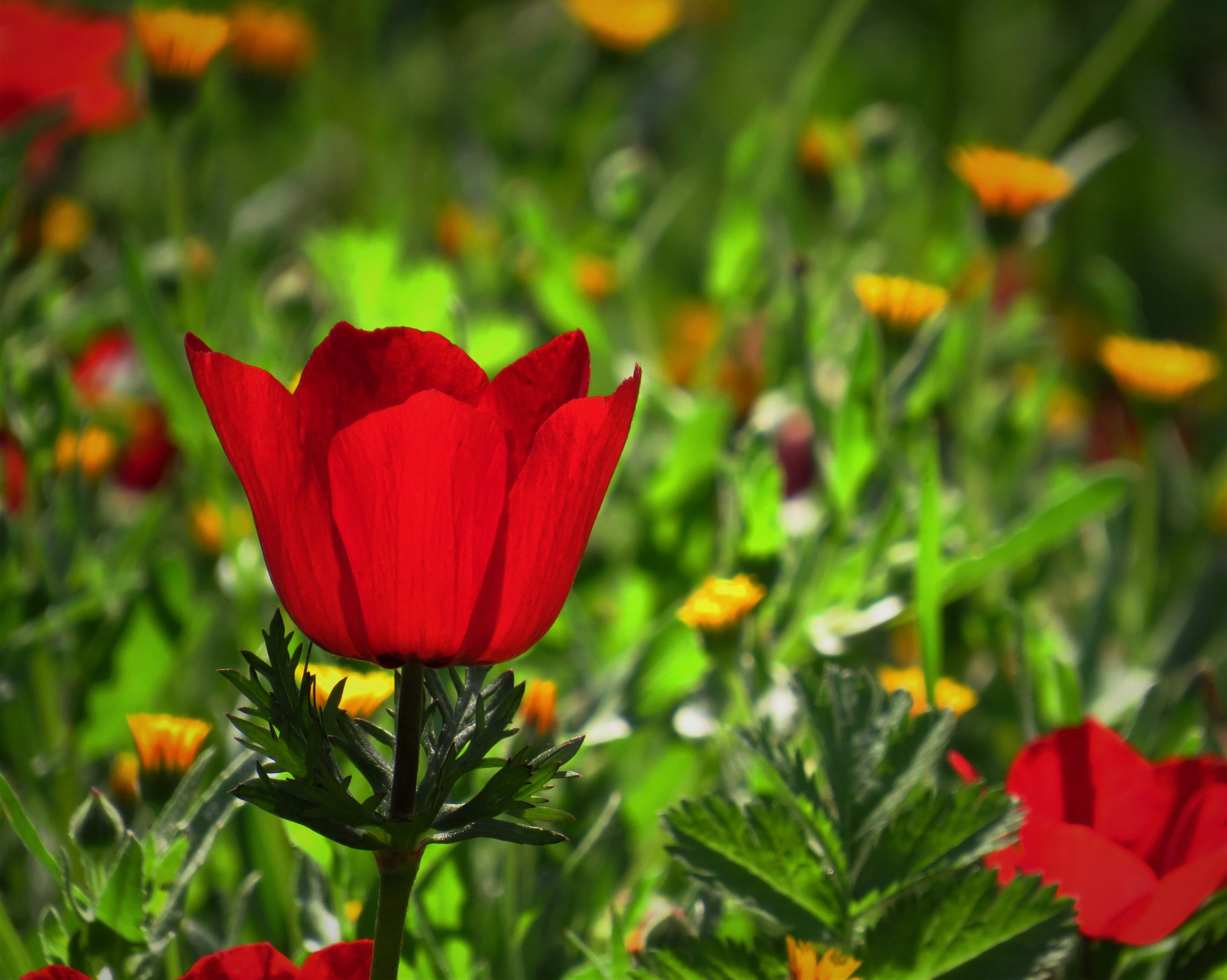 Photo by photo_travel_locki