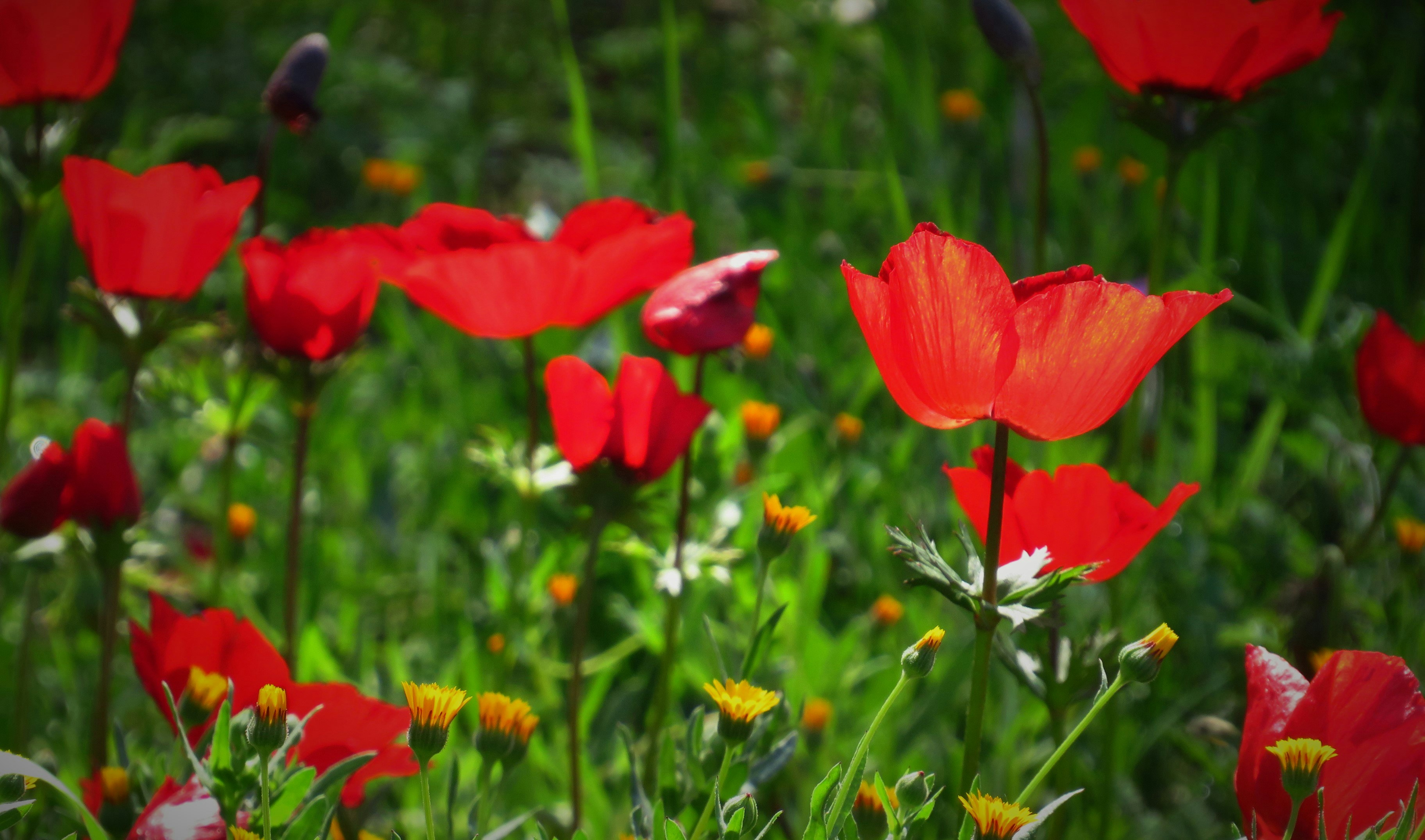 Photo by photo_travel_locki