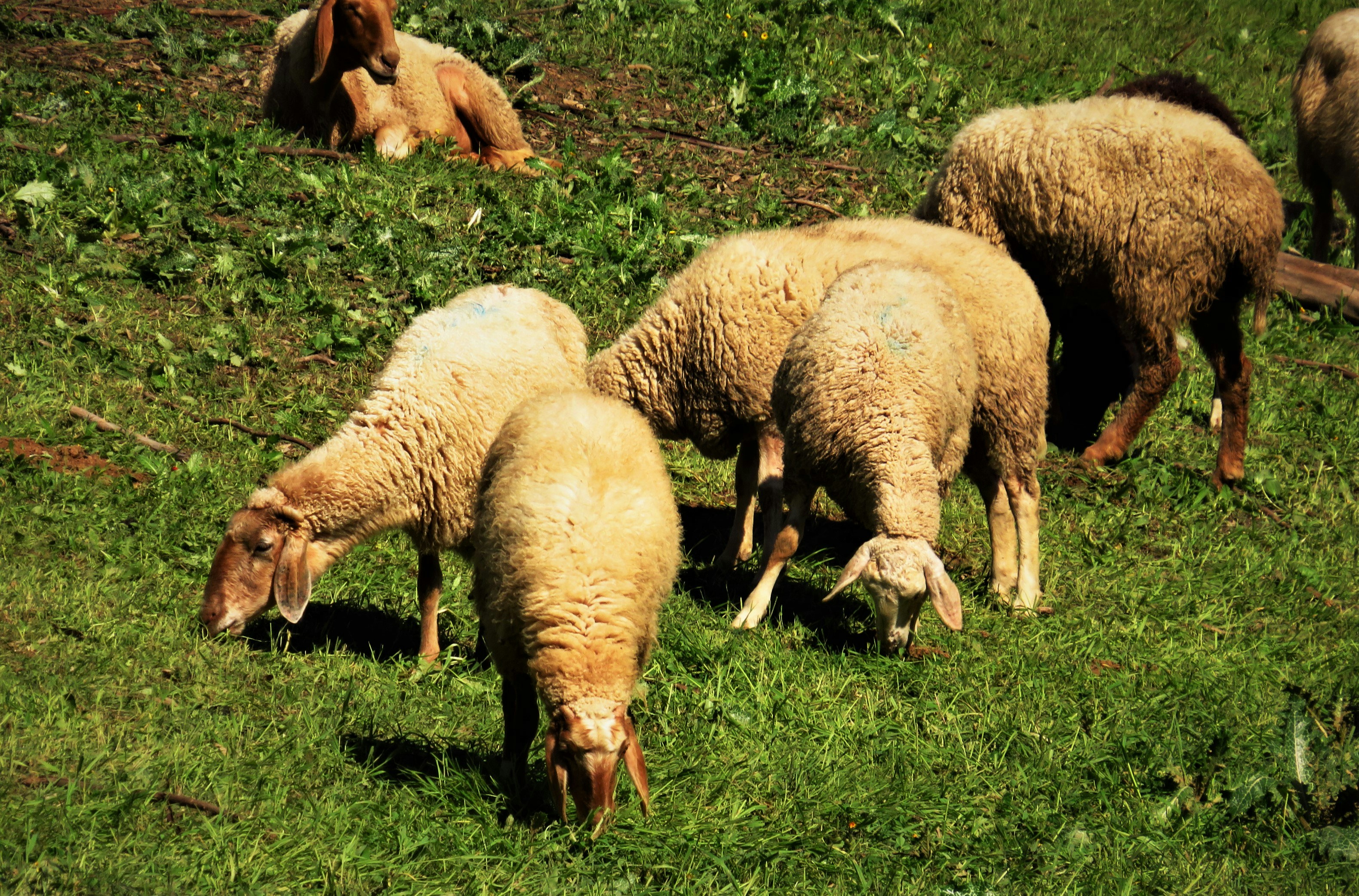 Photo by photo_travel_locki