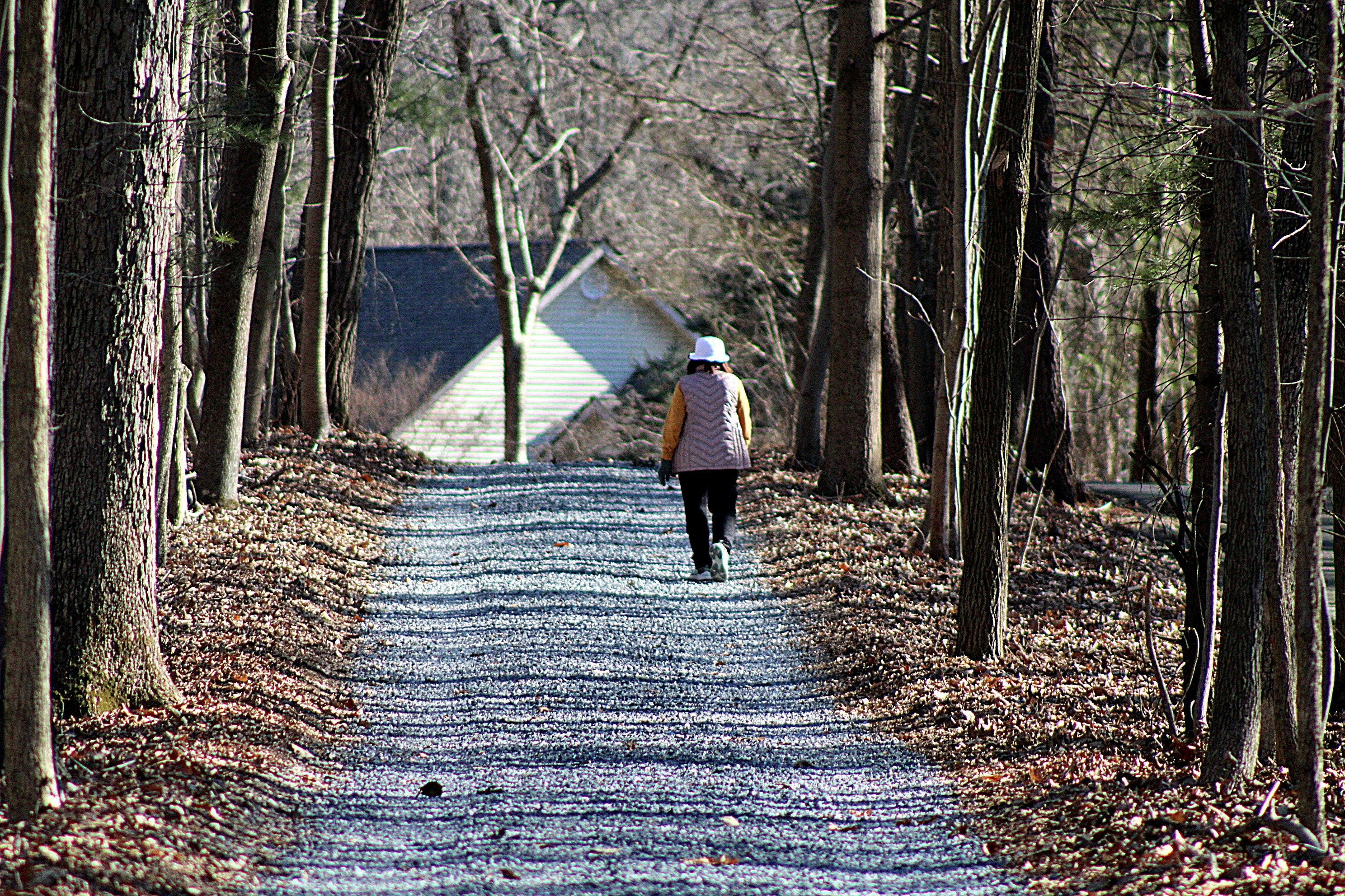 Philosopher's Path