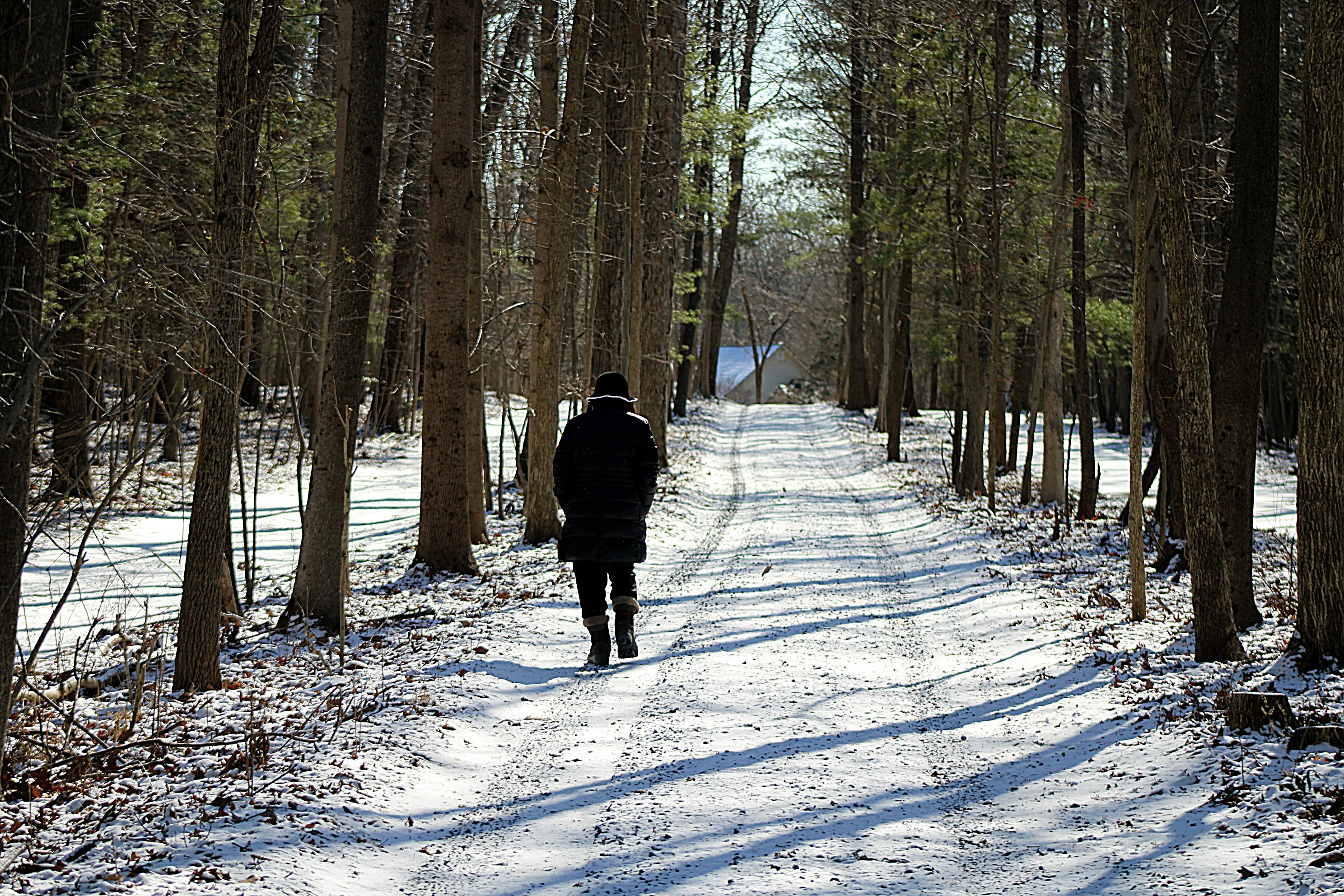 Photo by charles_ray