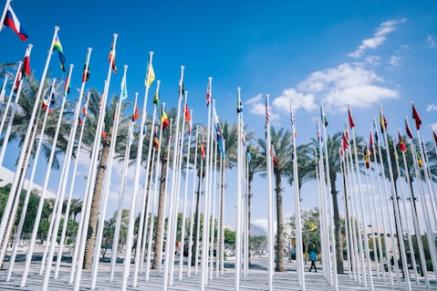 a bunch of flags that are next to each other