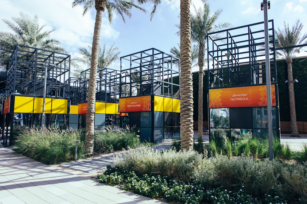 a group of palm trees sitting next to a building