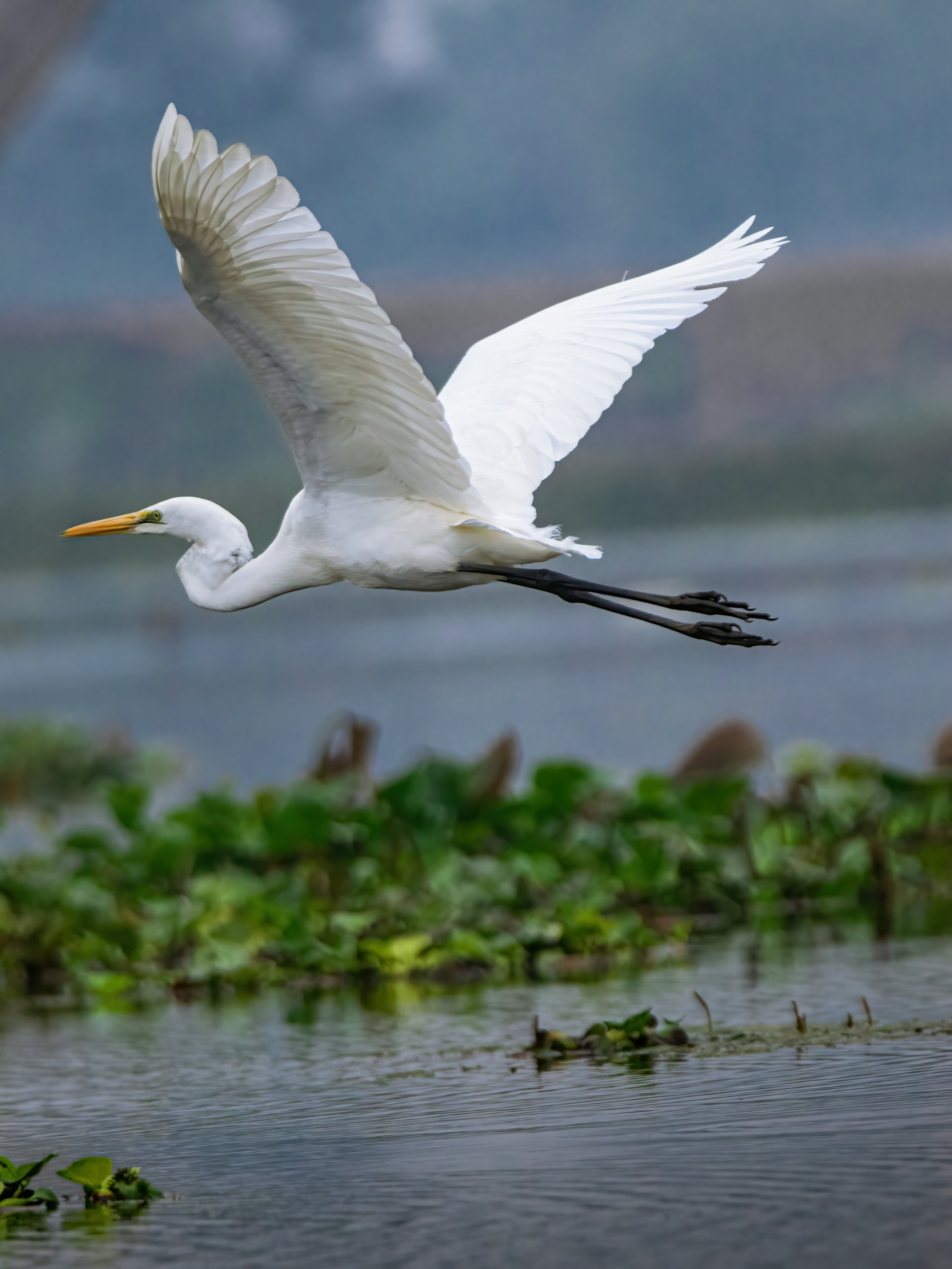 Photo by arnab_dey_photography