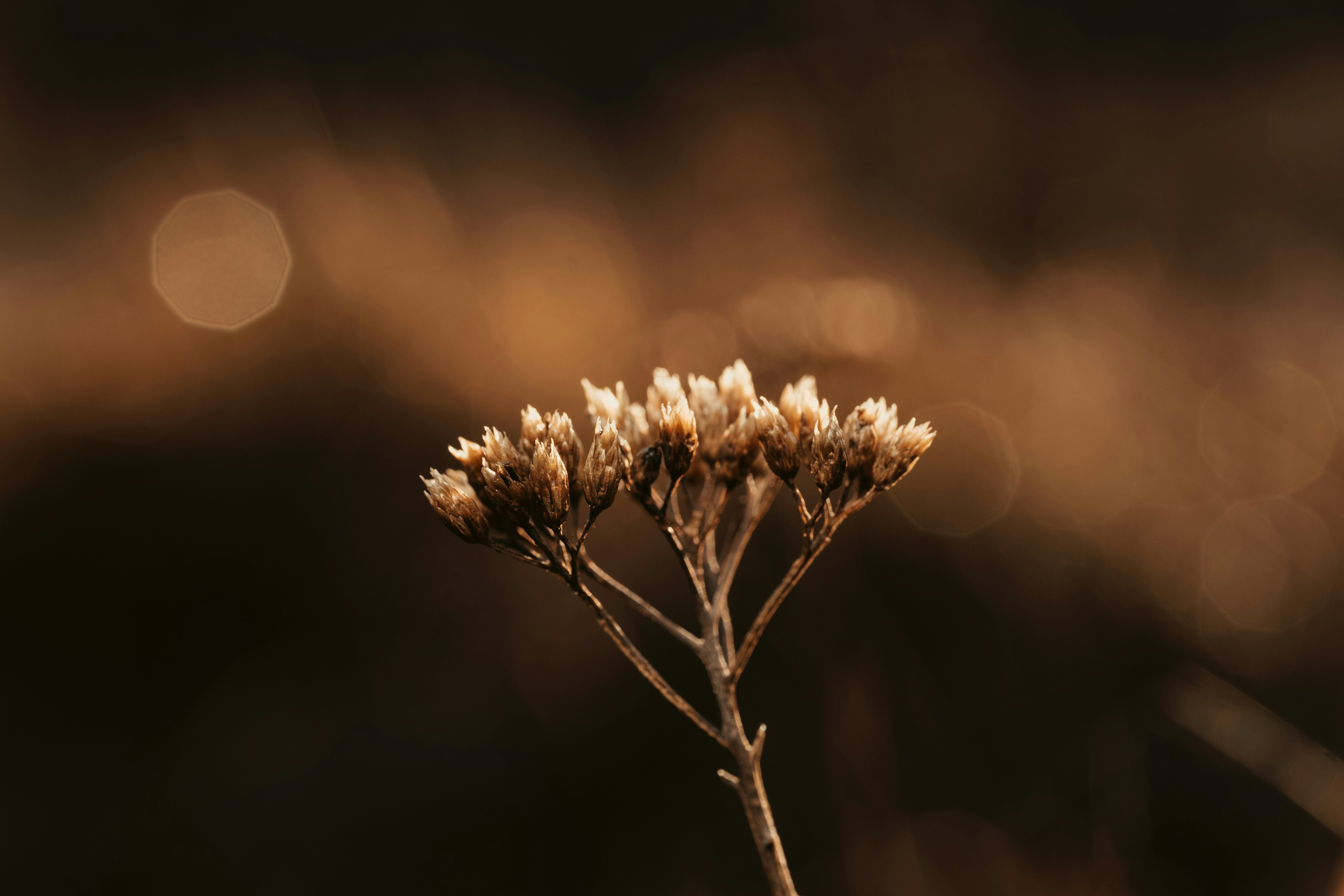 Photo by victor_vector